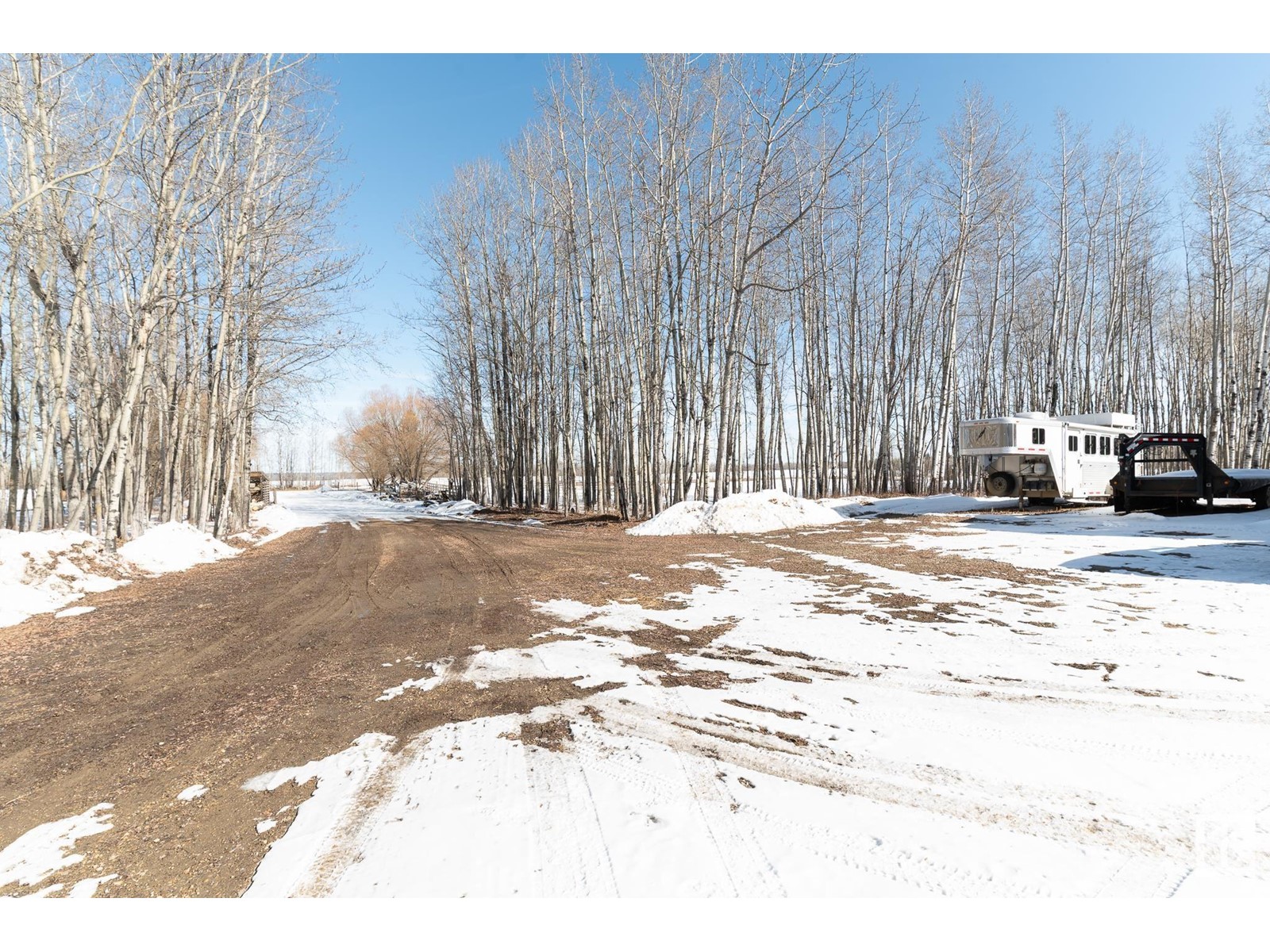 5515 Twp Road 534, Rural Parkland County, Alberta  T0E 0V0 - Photo 36 - E4427434