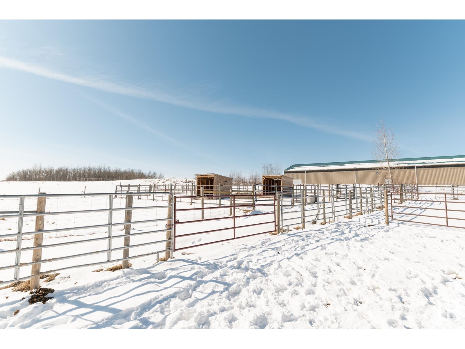 5515 Twp Road 534, Rural Parkland County, Alberta  T0E 0V0 - Photo 60 - E4427434