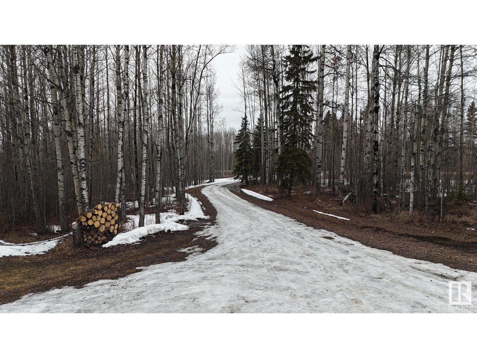 8321a Twp Rd 492, Rural Brazeau County, Alberta  T7A 2A3 - Photo 9 - E4427579