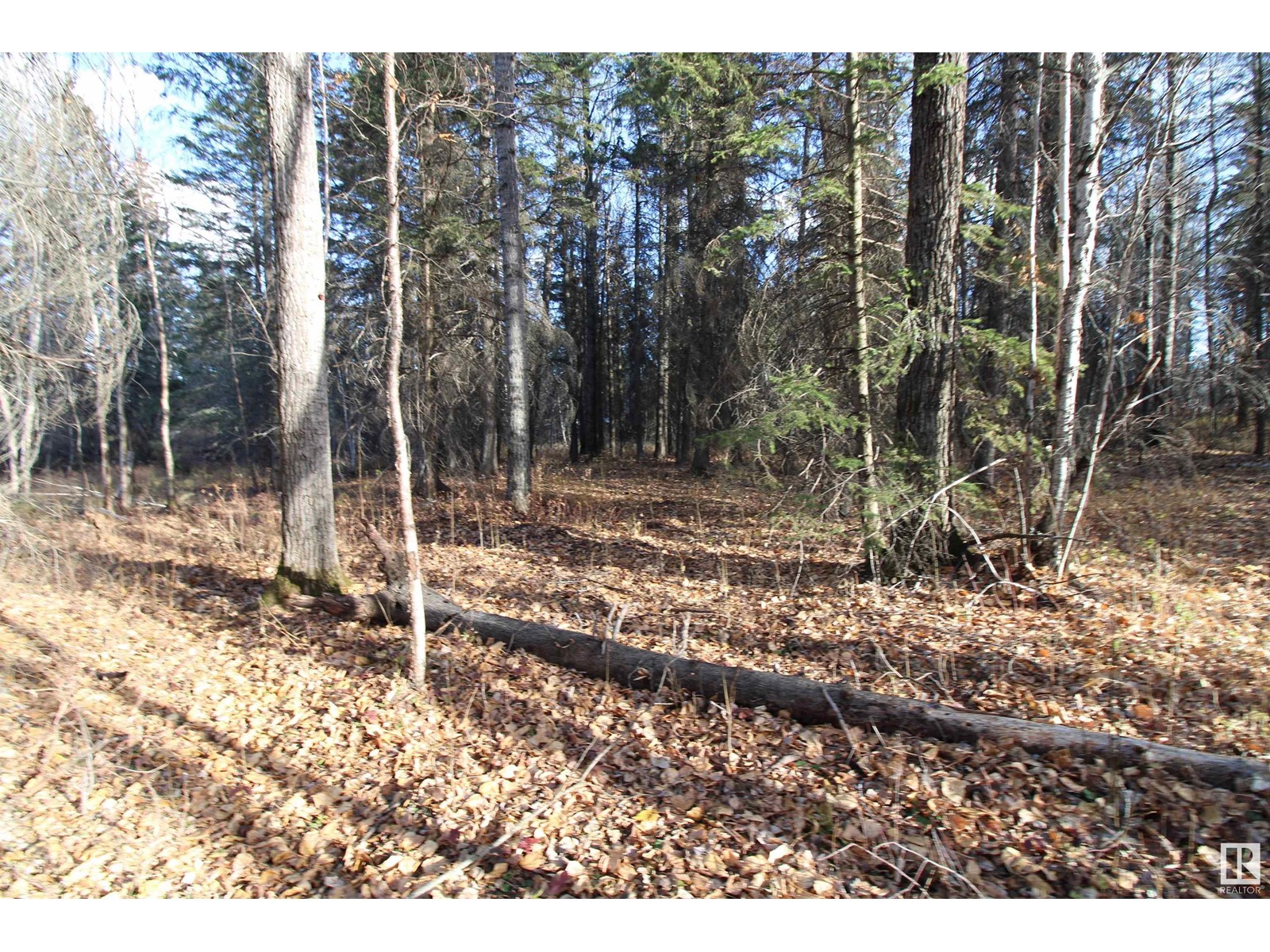 #205 55530 Rge Road 52, Rural Lac Ste. Anne County, Alberta  T0E 0J0 - Photo 10 - E4427589