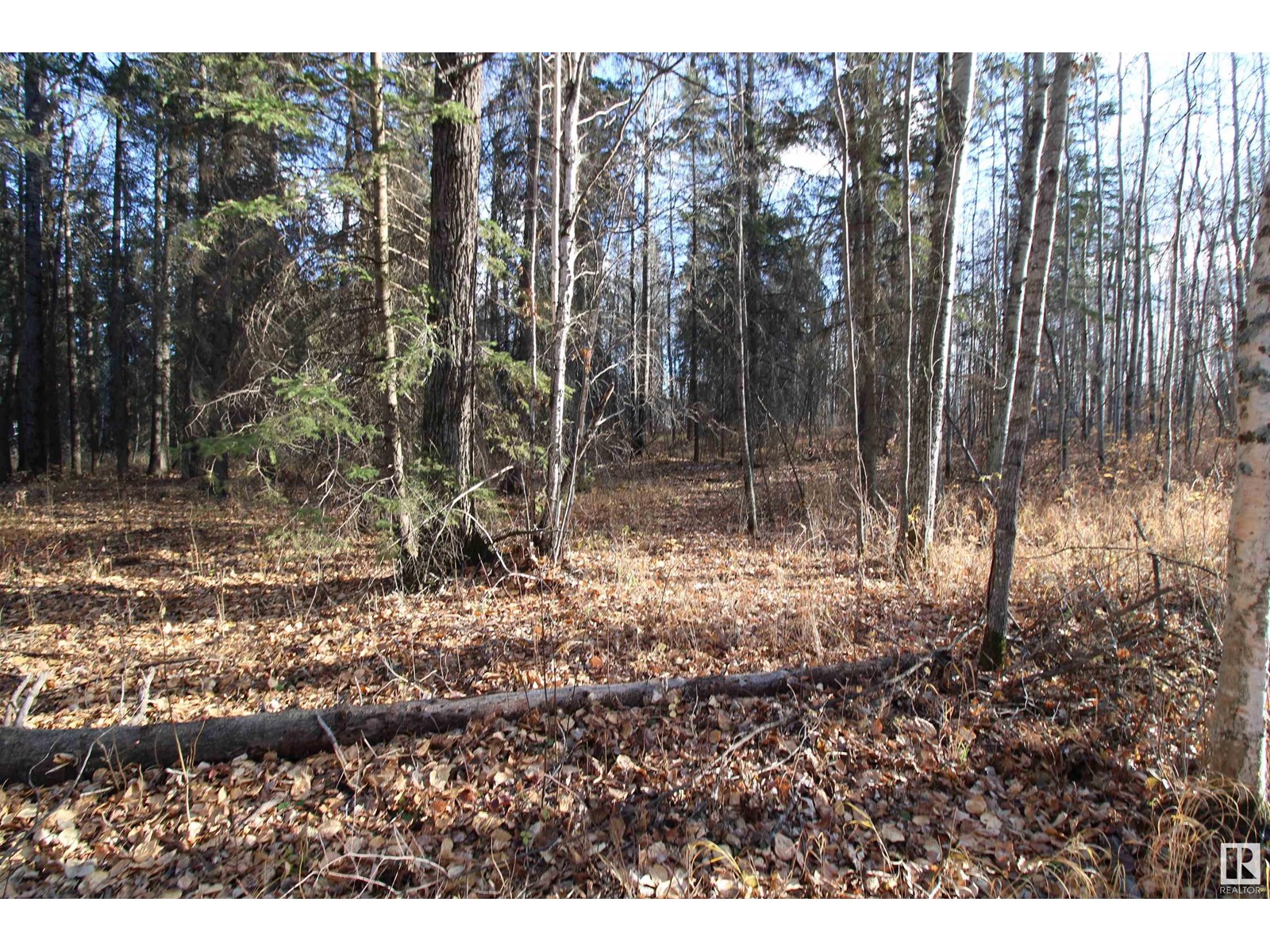 #205 55530 Rge Road 52, Rural Lac Ste. Anne County, Alberta  T0E 0J0 - Photo 11 - E4427589