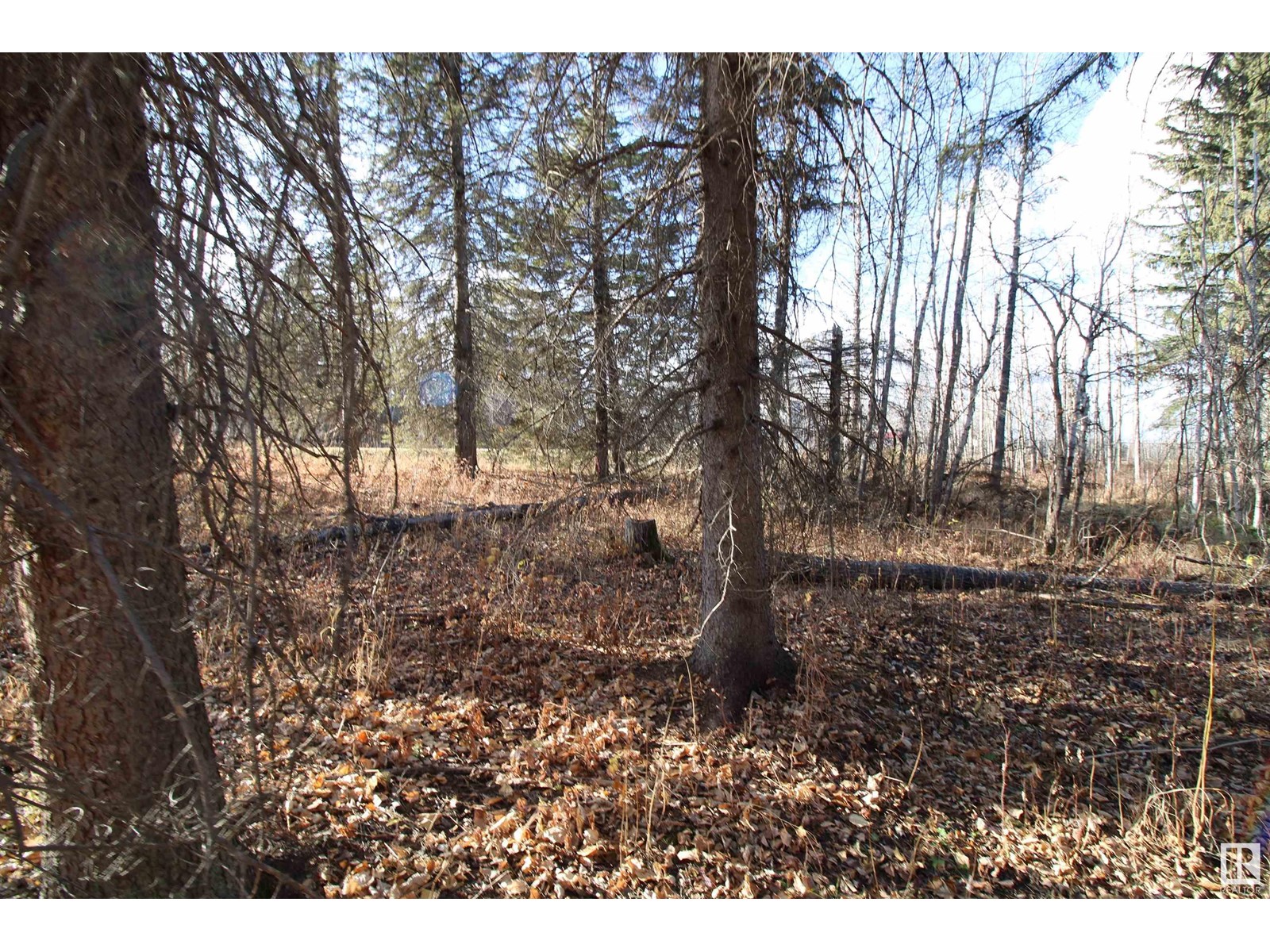 #205 55530 Rge Road 52, Rural Lac Ste. Anne County, Alberta  T0E 0J0 - Photo 12 - E4427589
