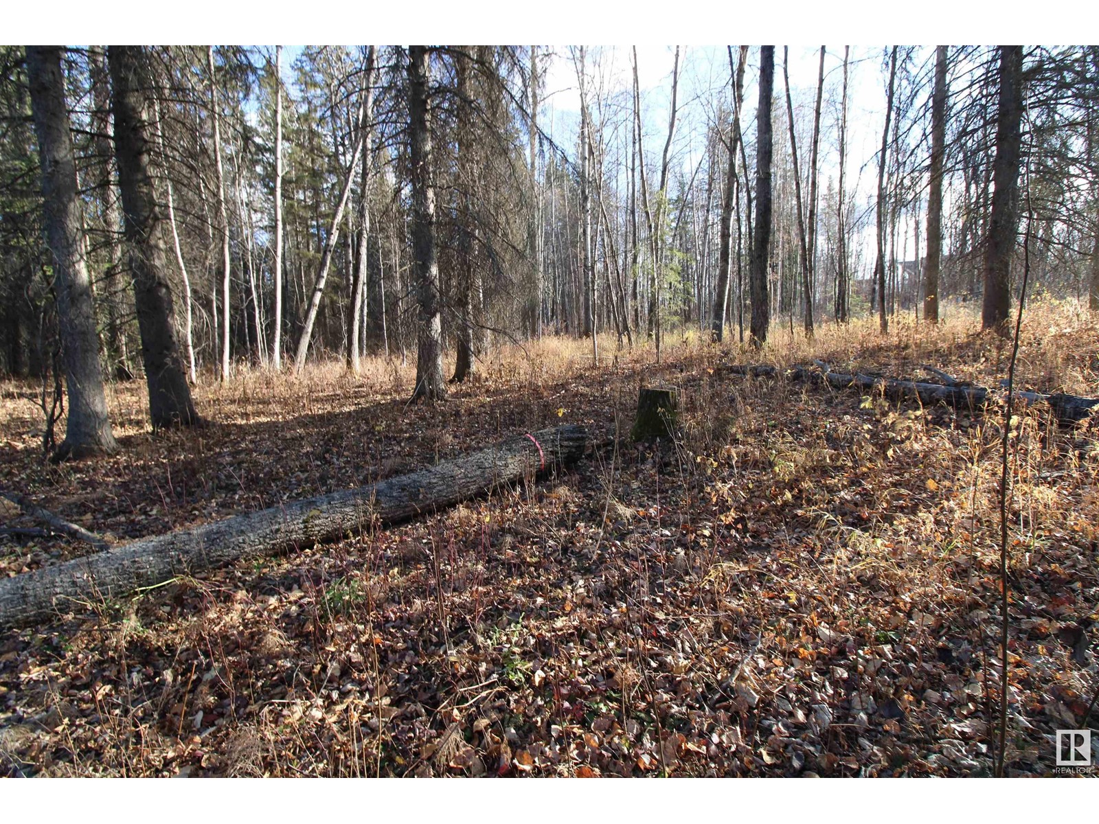 #205 55530 Rge Road 52, Rural Lac Ste. Anne County, Alberta  T0E 0J0 - Photo 13 - E4427589