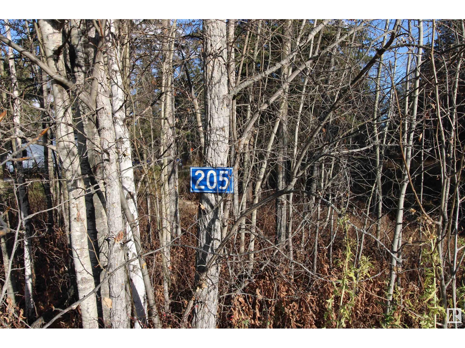 #205 55530 Rge Road 52, Rural Lac Ste. Anne County, Alberta  T0E 0J0 - Photo 4 - E4427589