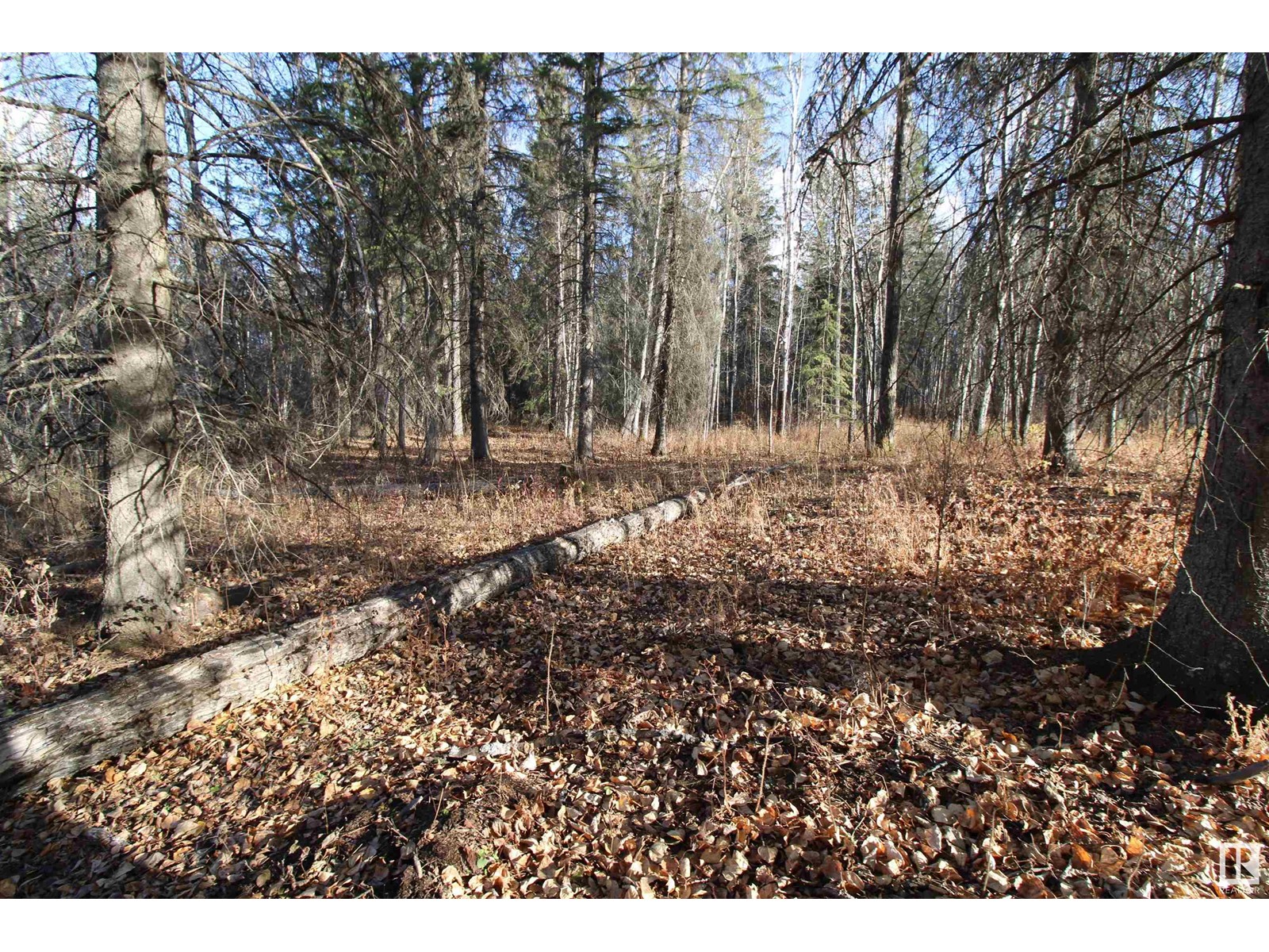 #205 55530 Rge Road 52, Rural Lac Ste. Anne County, Alberta  T0E 0J0 - Photo 5 - E4427589