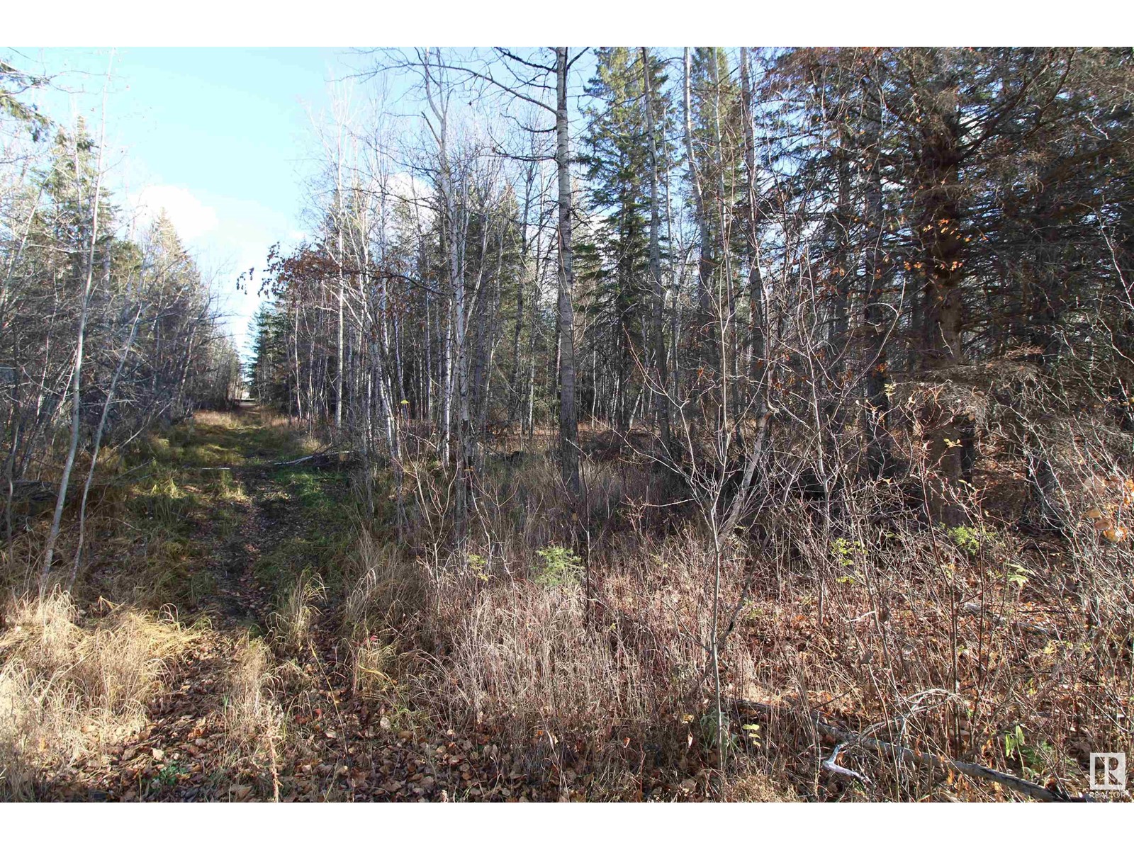 #205 55530 Rge Road 52, Rural Lac Ste. Anne County, Alberta  T0E 0J0 - Photo 6 - E4427589