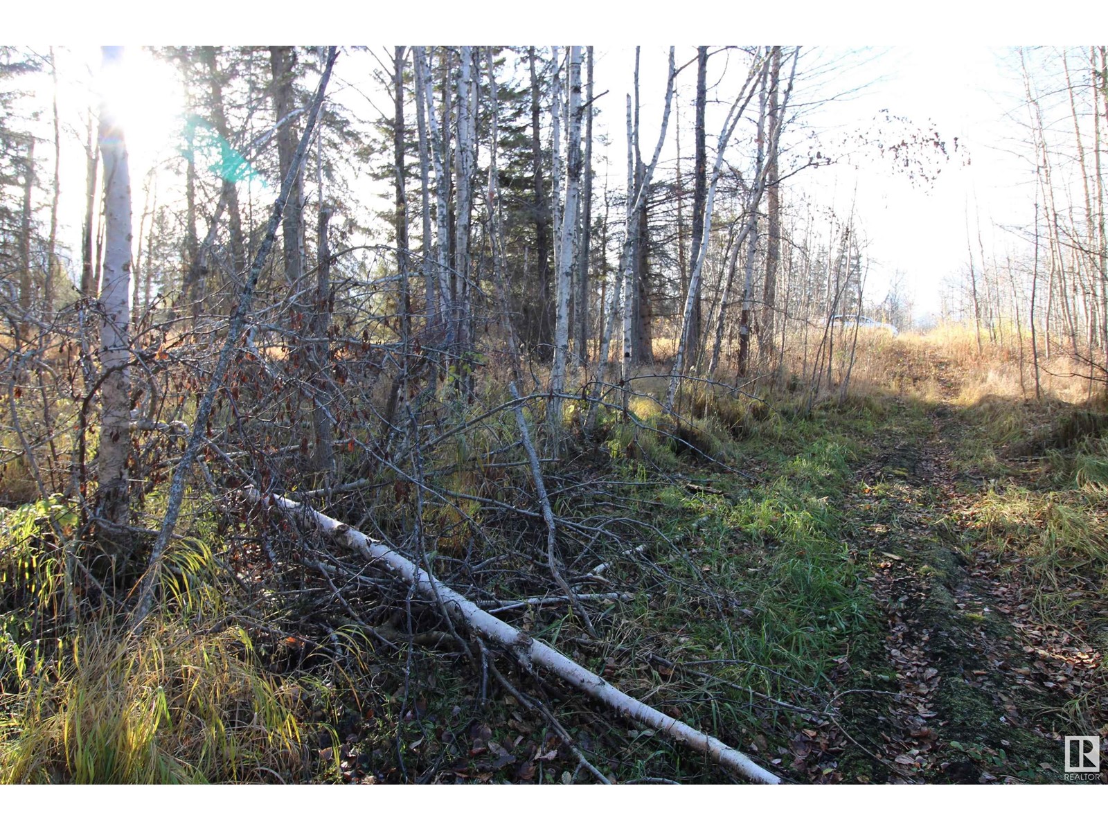 #205 55530 Rge Road 52, Rural Lac Ste. Anne County, Alberta  T0E 0J0 - Photo 7 - E4427589