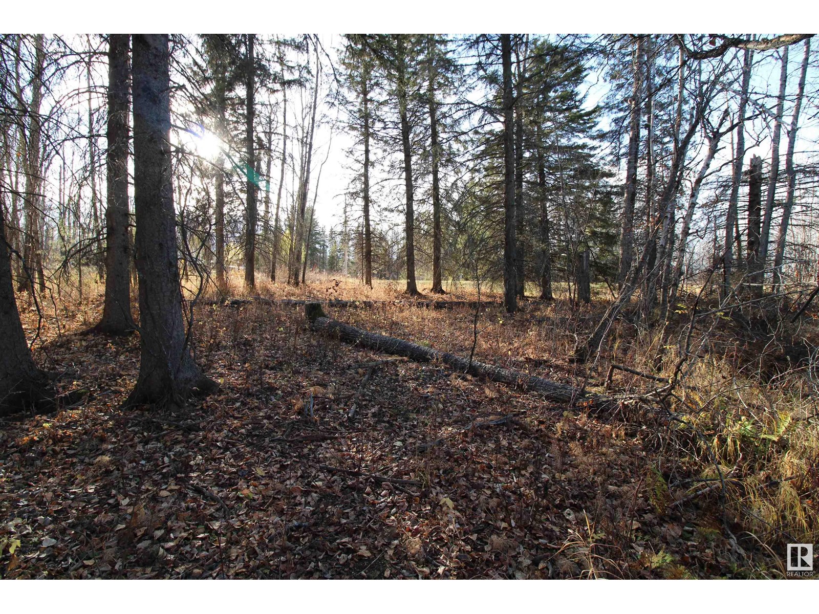 #205 55530 Rge Road 52, Rural Lac Ste. Anne County, Alberta  T0E 0J0 - Photo 8 - E4427589