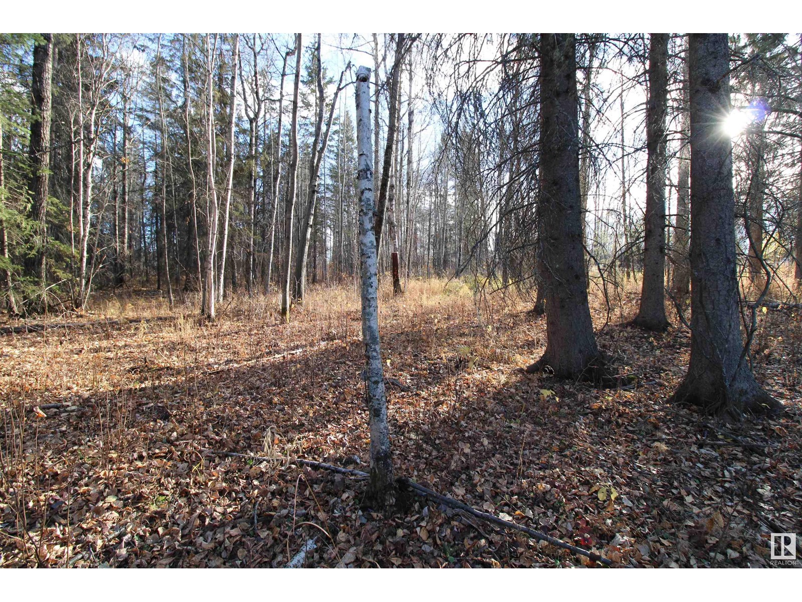 #205 55530 Rge Road 52, Rural Lac Ste. Anne County, Alberta  T0E 0J0 - Photo 9 - E4427589