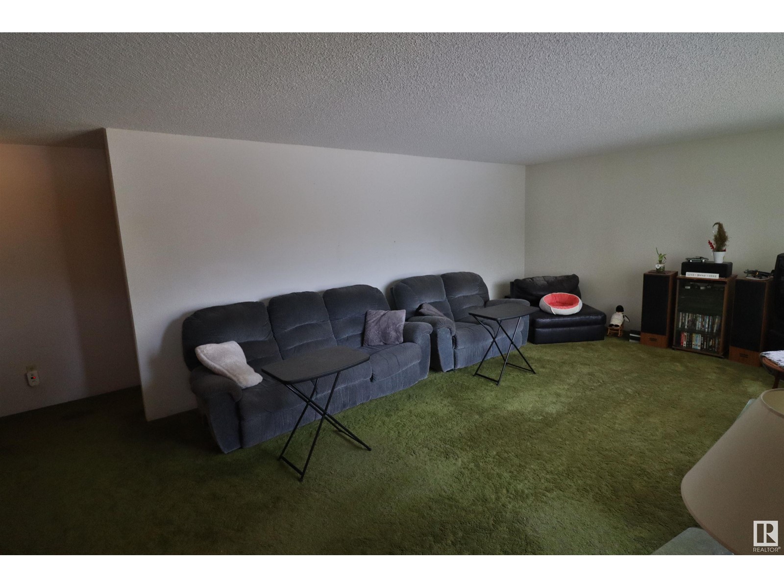 48466 Rge Rd 281, Rural Leduc County, Alberta  T0C 2P0 - Photo 10 - E4427649