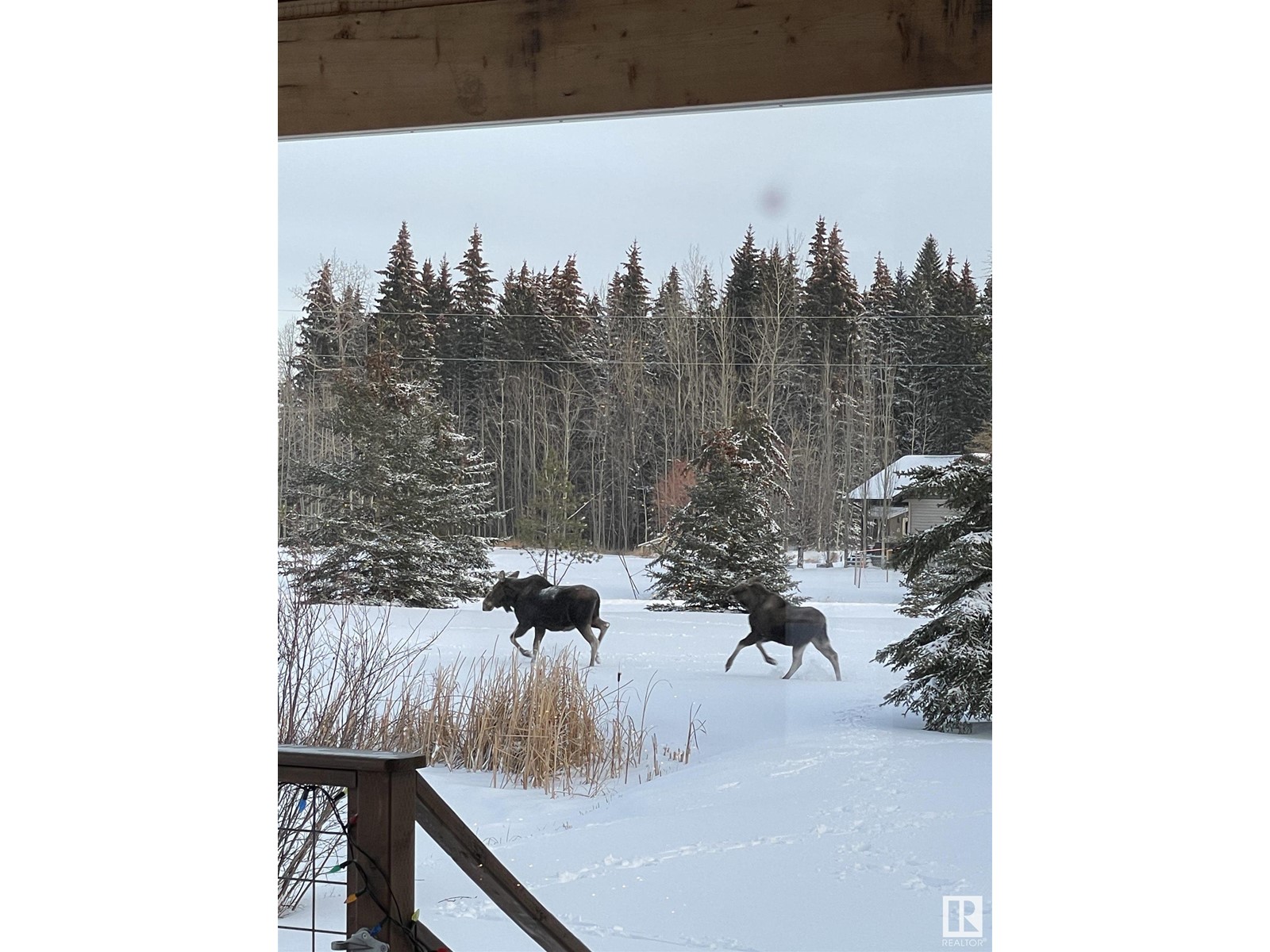 2 63065 Twp Rd 464, Rural Wetaskiwin County, Alberta  T0C 0T0 - Photo 52 - E4429079