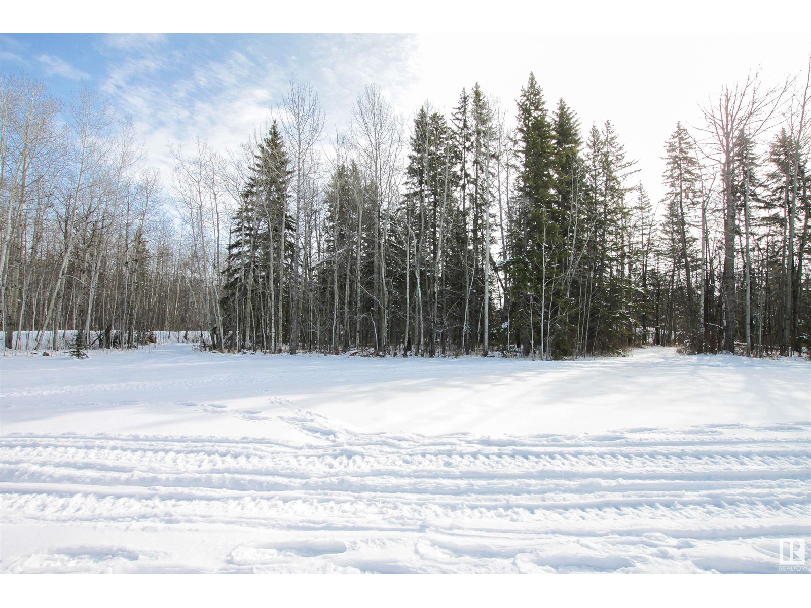#5838 49 St, Rural Wetaskiwin County, Alberta  T0C 2P0 - Photo 38 - E4429984