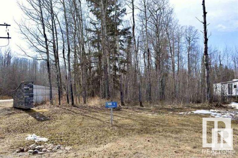 1 Poppy Pl, Rural Lac Ste. Anne County, Alberta  T0E 1H0 - Photo 7 - E4430012