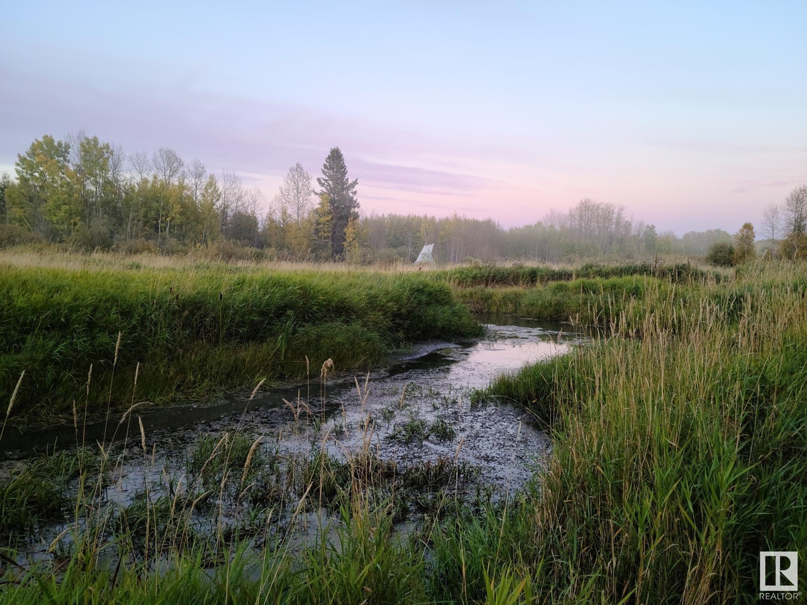 443001 Range Road 12 Rd, Rural Ponoka County, Alberta  T0C 0M0 - Photo 18 - E4431091