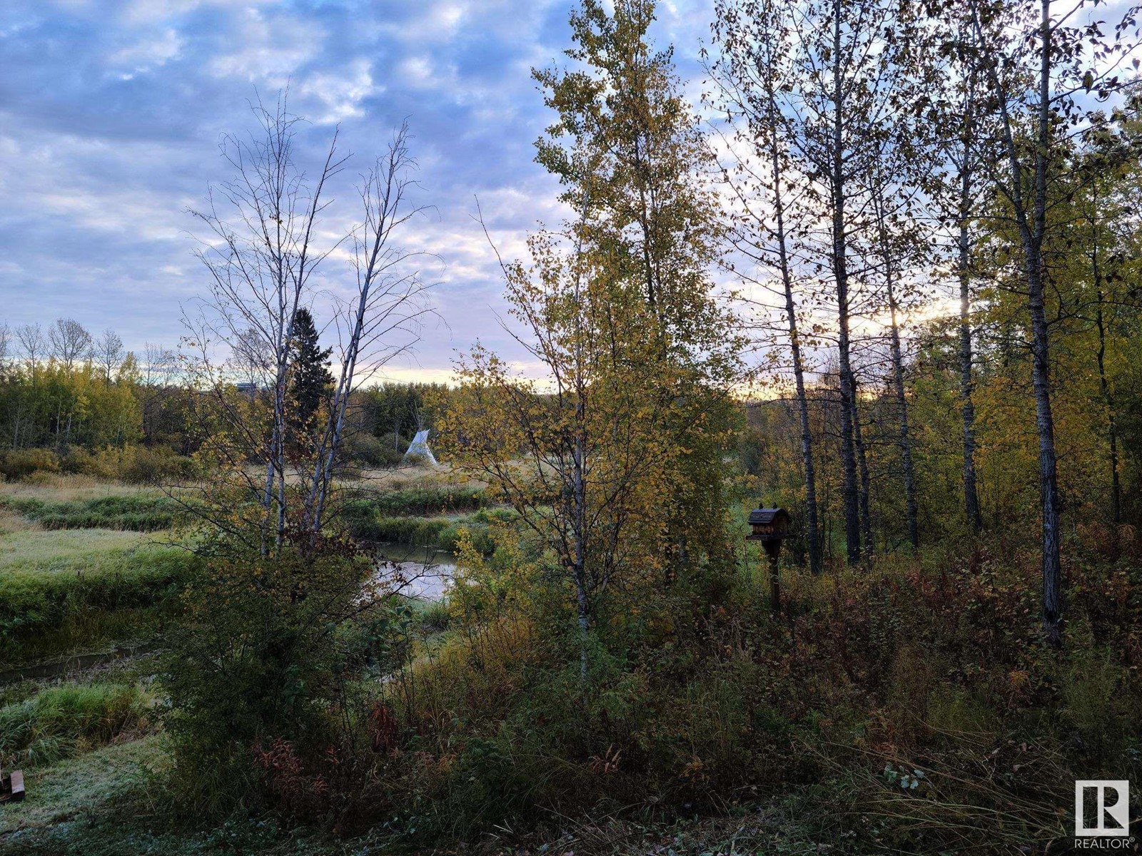 443001 Range Road 12 Rd, Rural Ponoka County, Alberta  T0C 0M0 - Photo 19 - E4431091