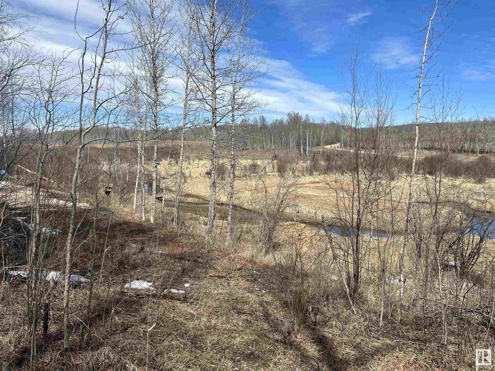 443001 Range Road 12 Rd, Rural Ponoka County, Alberta  T0C 0M0 - Photo 24 - E4431091