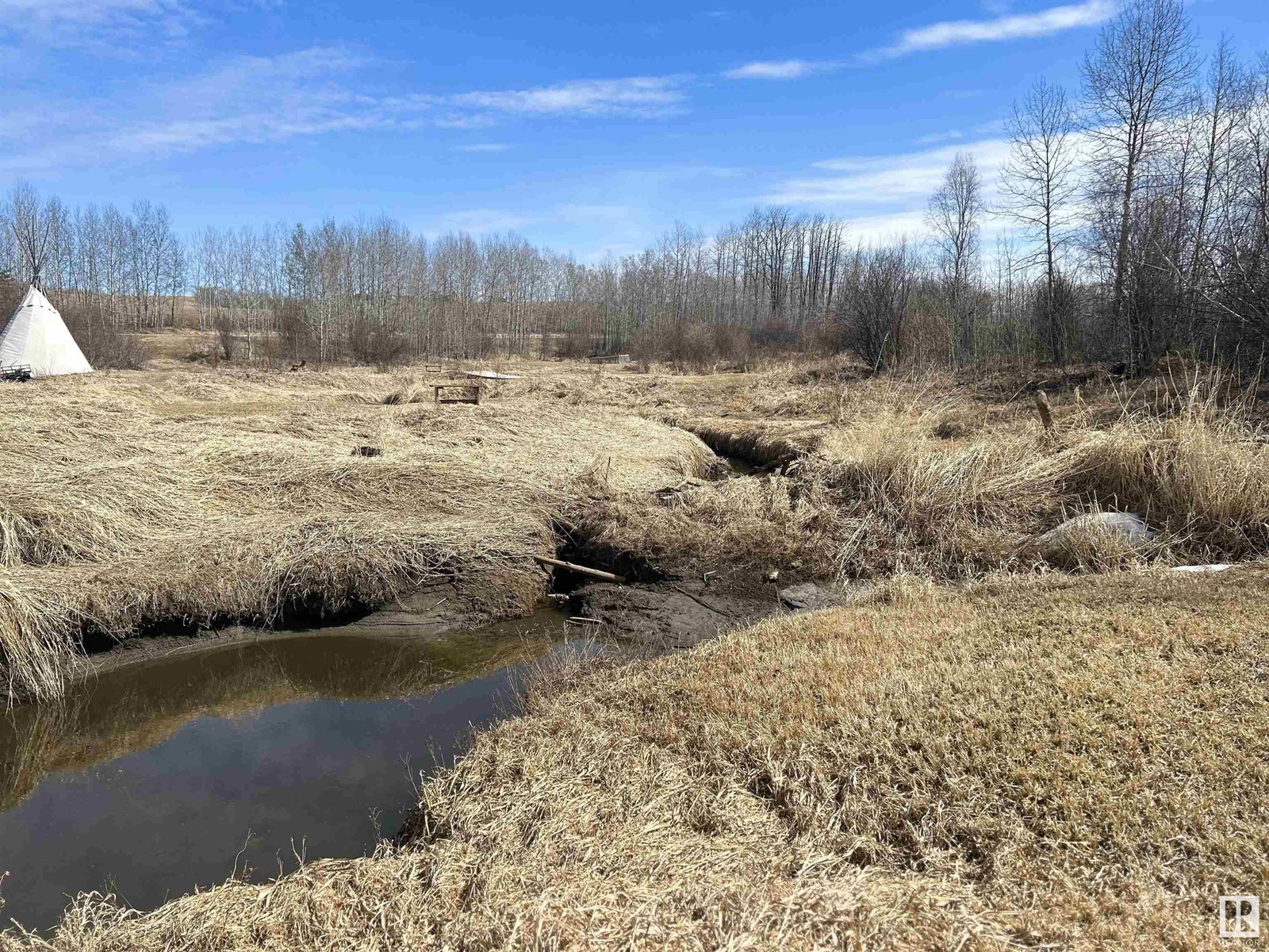 443001 Range Road 12 Rd, Rural Ponoka County, Alberta  T0C 0M0 - Photo 27 - E4431091