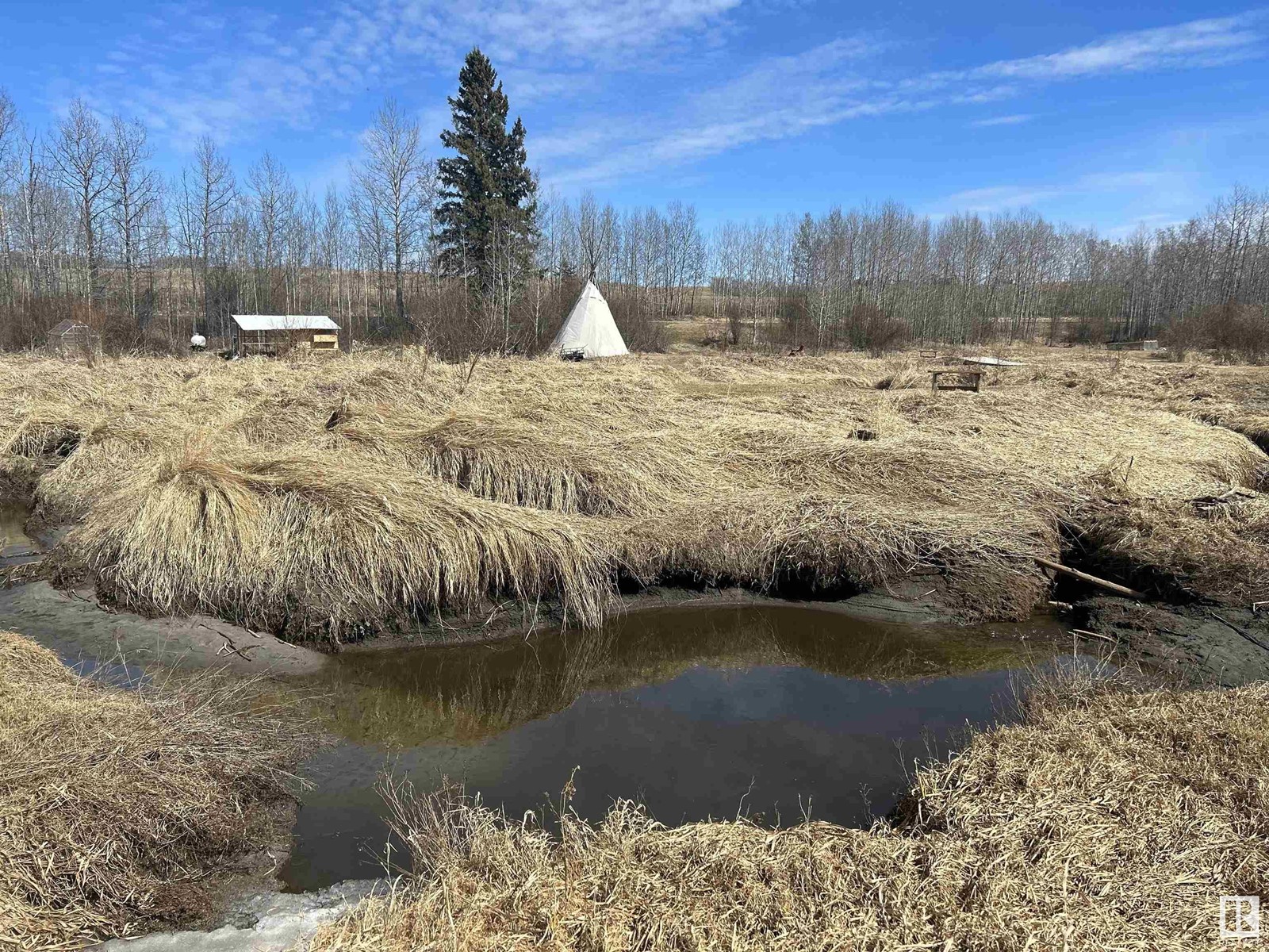 443001 Range Road 12 Rd, Rural Ponoka County, Alberta  T0C 0M0 - Photo 28 - E4431091