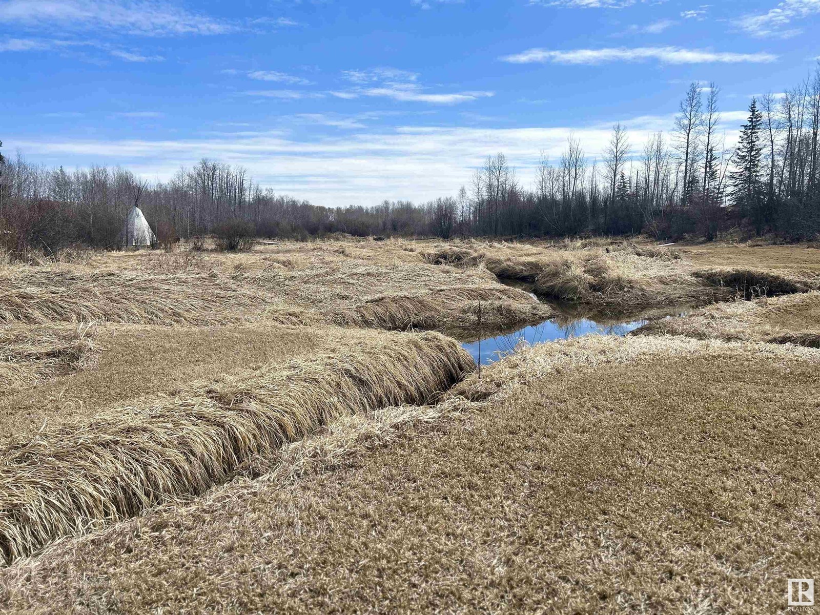 443001 Range Road 12 Rd, Rural Ponoka County, Alberta  T0C 0M0 - Photo 35 - E4431091