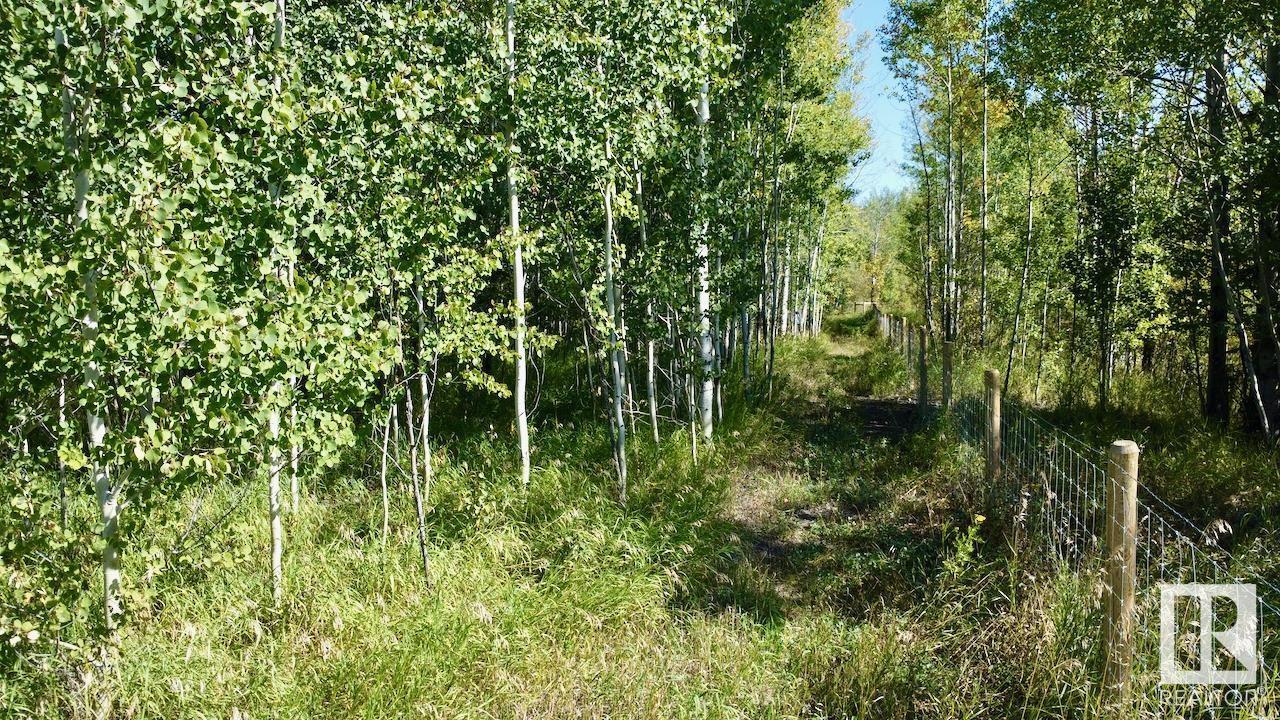 45 53026 Hghway 31, Rural Parkland County, Alberta  T0E 2B0 - Photo 13 - E4431138