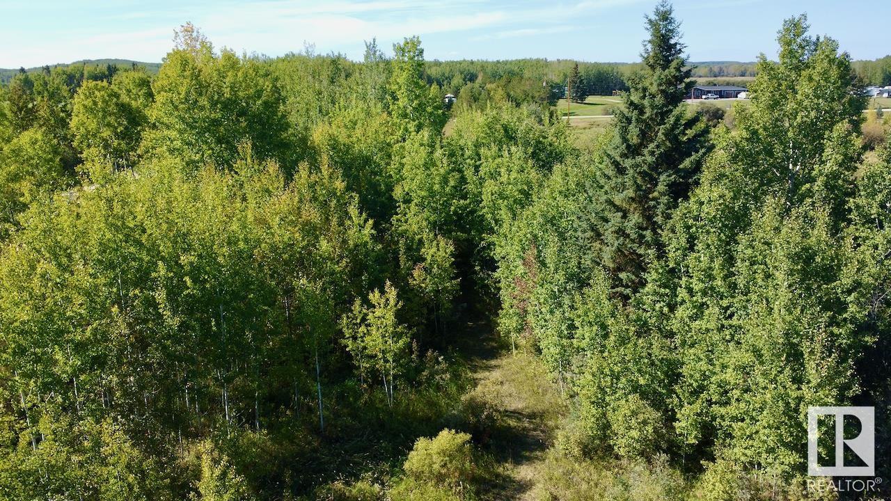 45 53026 Hghway 31, Rural Parkland County, Alberta  T0E 2B0 - Photo 14 - E4431138