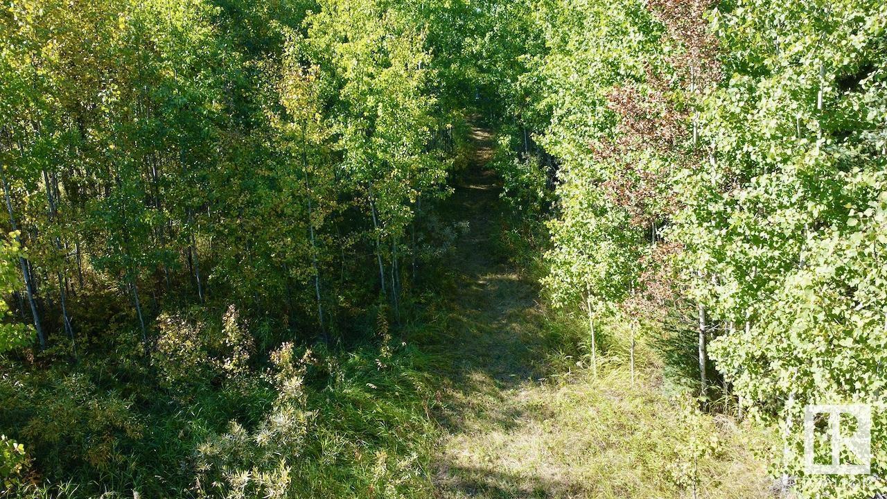 45 53026 Hghway 31, Rural Parkland County, Alberta  T0E 2B0 - Photo 15 - E4431138