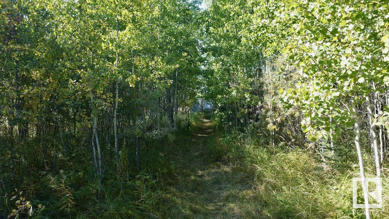 45 53026 Hghway 31, Rural Parkland County, Alberta  T0E 2B0 - Photo 16 - E4431138