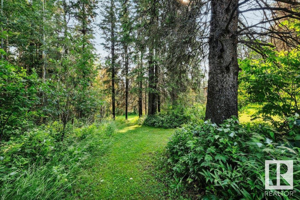 45 61076 Twp 462 A, Rural Wetaskiwin County, Alberta  T0C 0T0 - Photo 46 - E4431341
