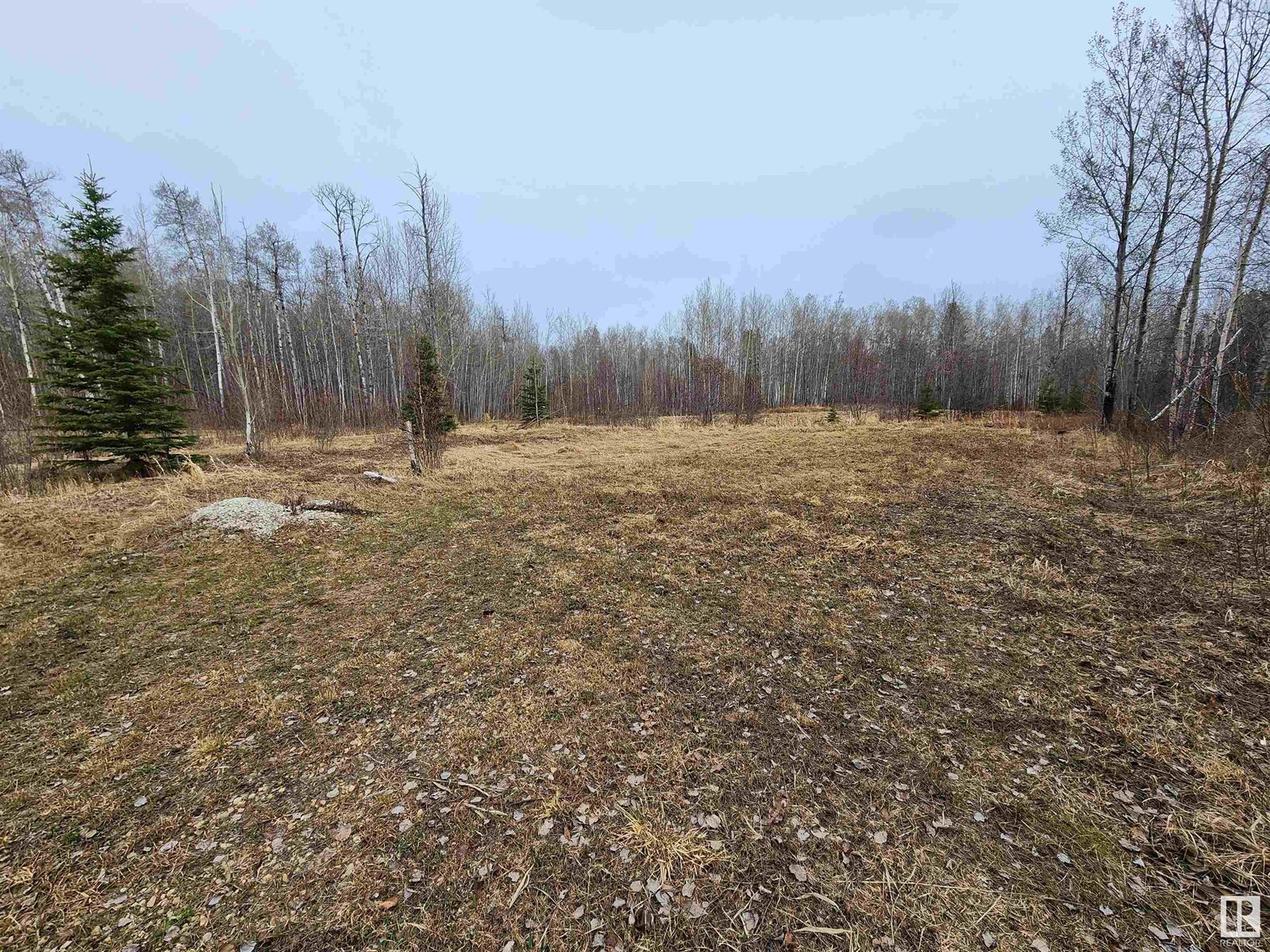 29 Village West, Rural Wetaskiwin County, Alberta  T0C 2V0 - Photo 10 - E4431399