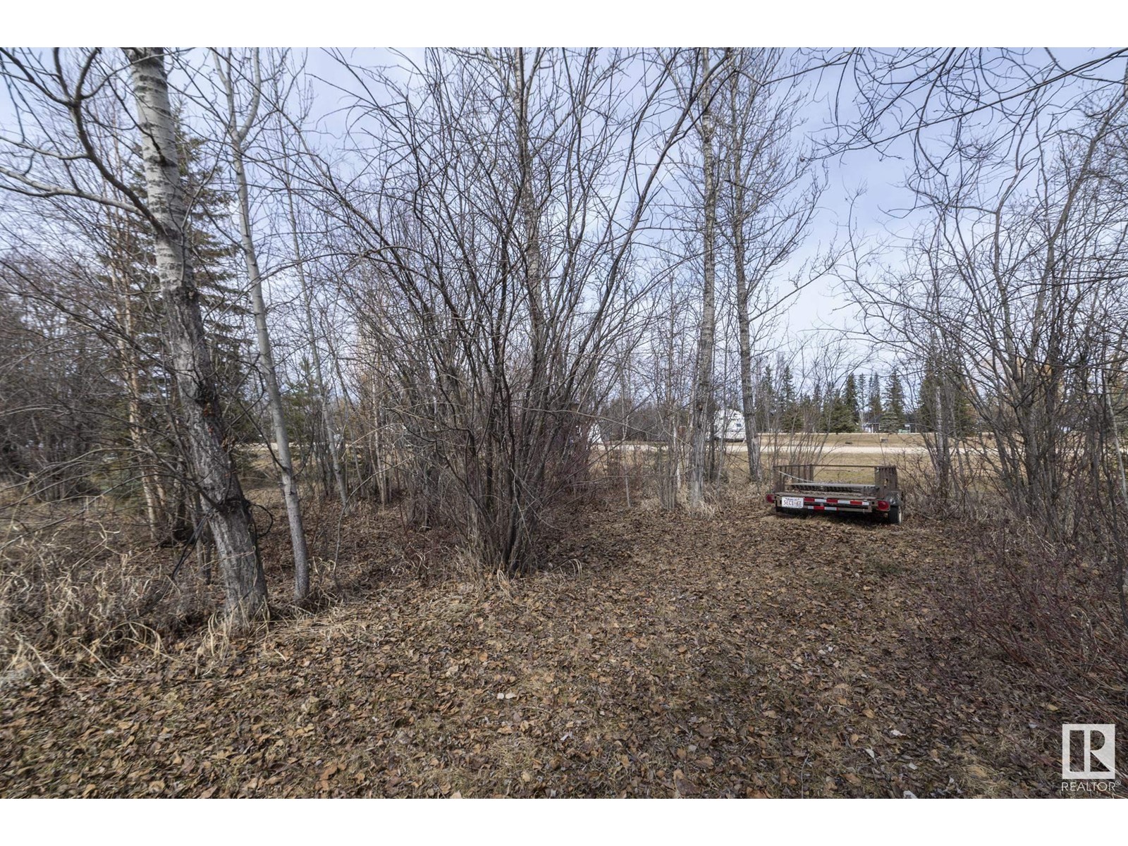 #260 465015 Range Road 63a, Rural Wetaskiwin County, Alberta  T0C 0T0 - Photo 6 - E4431743
