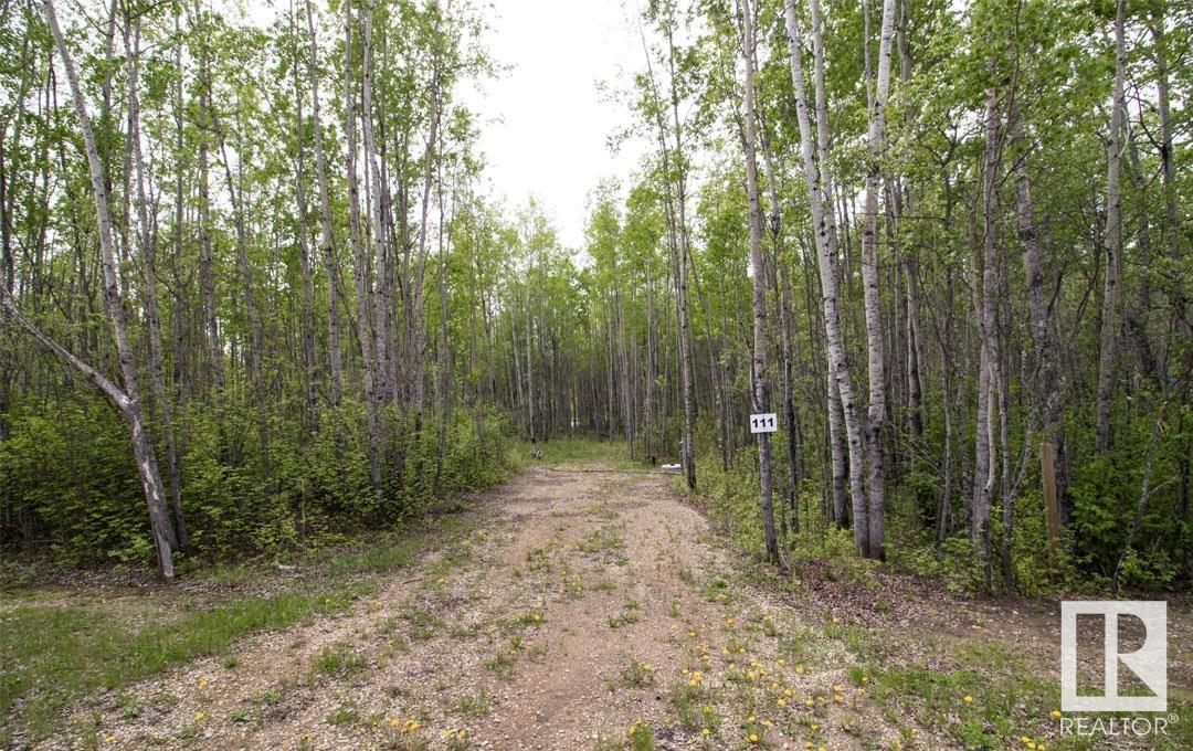 #111 5519 Twp Rd 550, Rural Lac Ste. Anne County, Alberta  T0E 0L0 - Photo 2 - E4432180