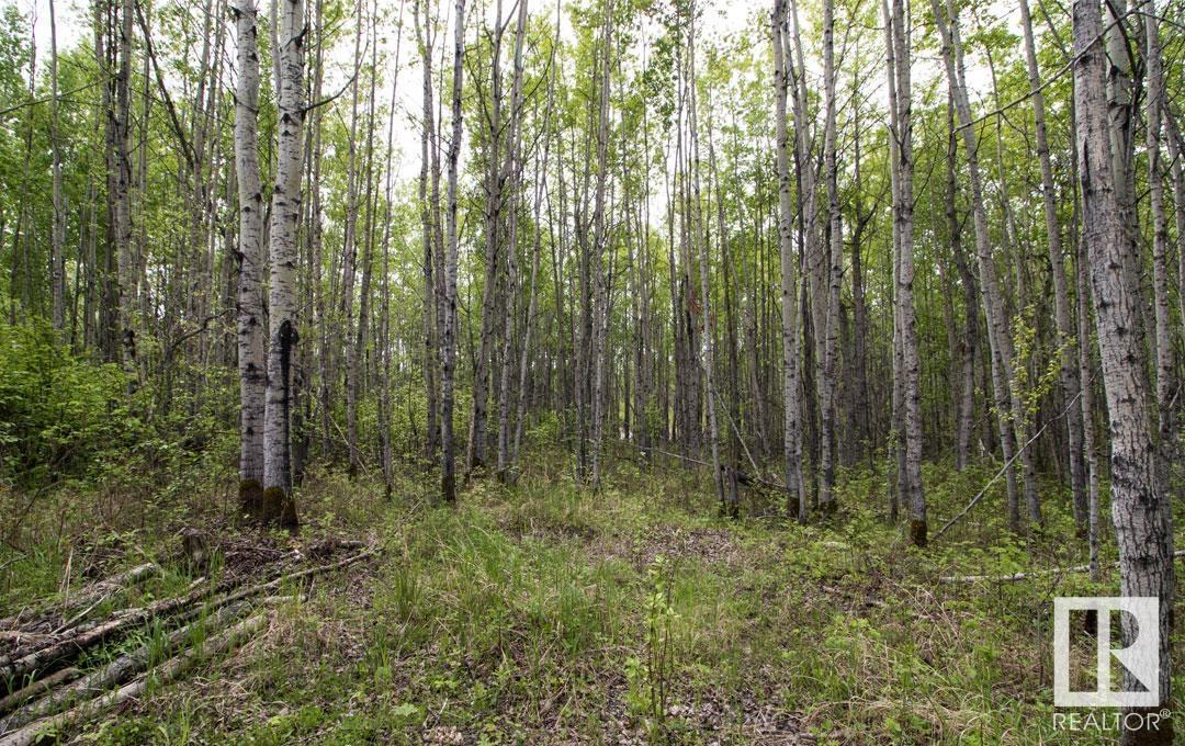 #111 5519 Twp Rd 550, Rural Lac Ste. Anne County, Alberta  T0E 0L0 - Photo 7 - E4432180