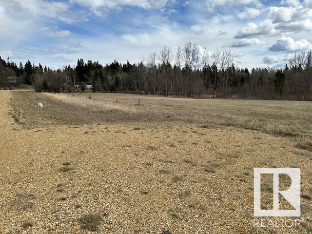 40 475013 Rge Rd 243, Rural Wetaskiwin County, Alberta  T0C 1Z0 - Photo 3 - E4432320