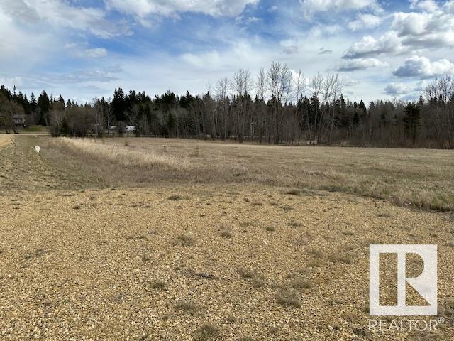 40 475013 Rge Rd 243, Rural Wetaskiwin County, Alberta  T0C 1Z0 - Photo 4 - E4432320