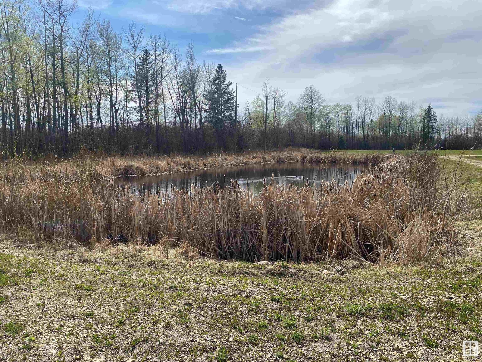 Nw 1 47 28 W4, Rural Wetaskiwin County, Alberta  T0C 2P0 - Photo 4 - E4432803