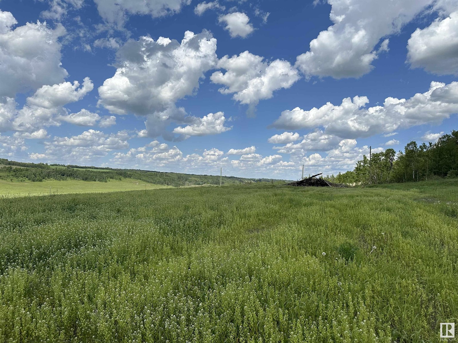 B 23509 Twp Rd 484, Rural Leduc County, Alberta  T0C 1Z0 - Photo 4 - E4432933