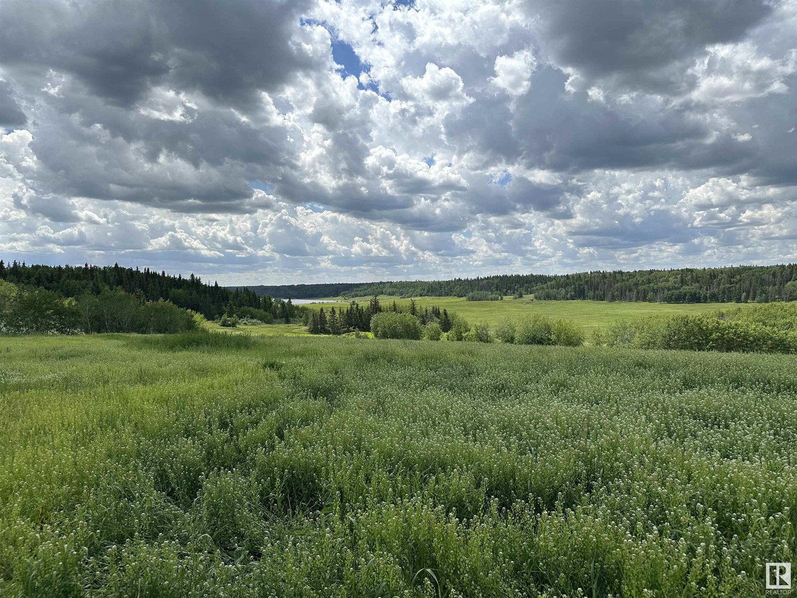 B 23509 Twp Rd 484, Rural Leduc County, Alberta  T0C 1Z0 - Photo 5 - E4432933