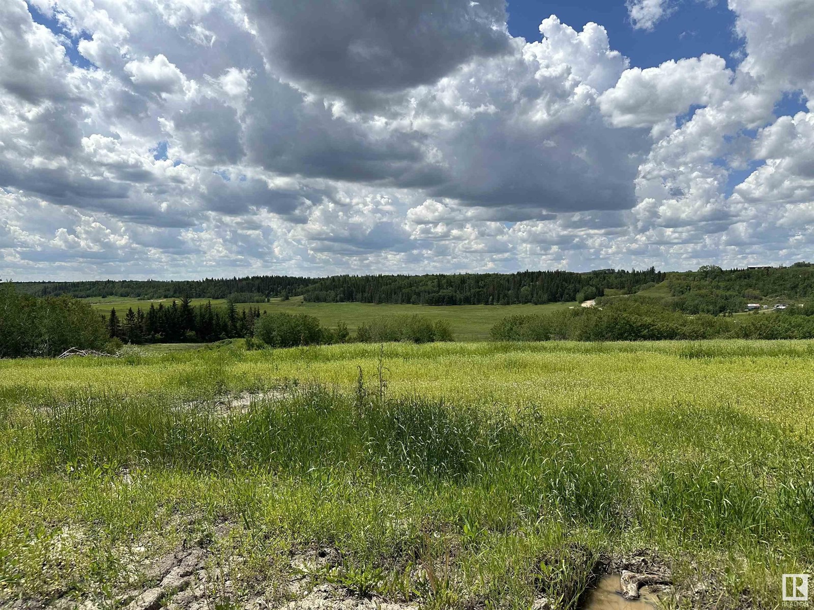B 23509 Twp Rd 484, Rural Leduc County, Alberta  T0C 1Z0 - Photo 6 - E4432933