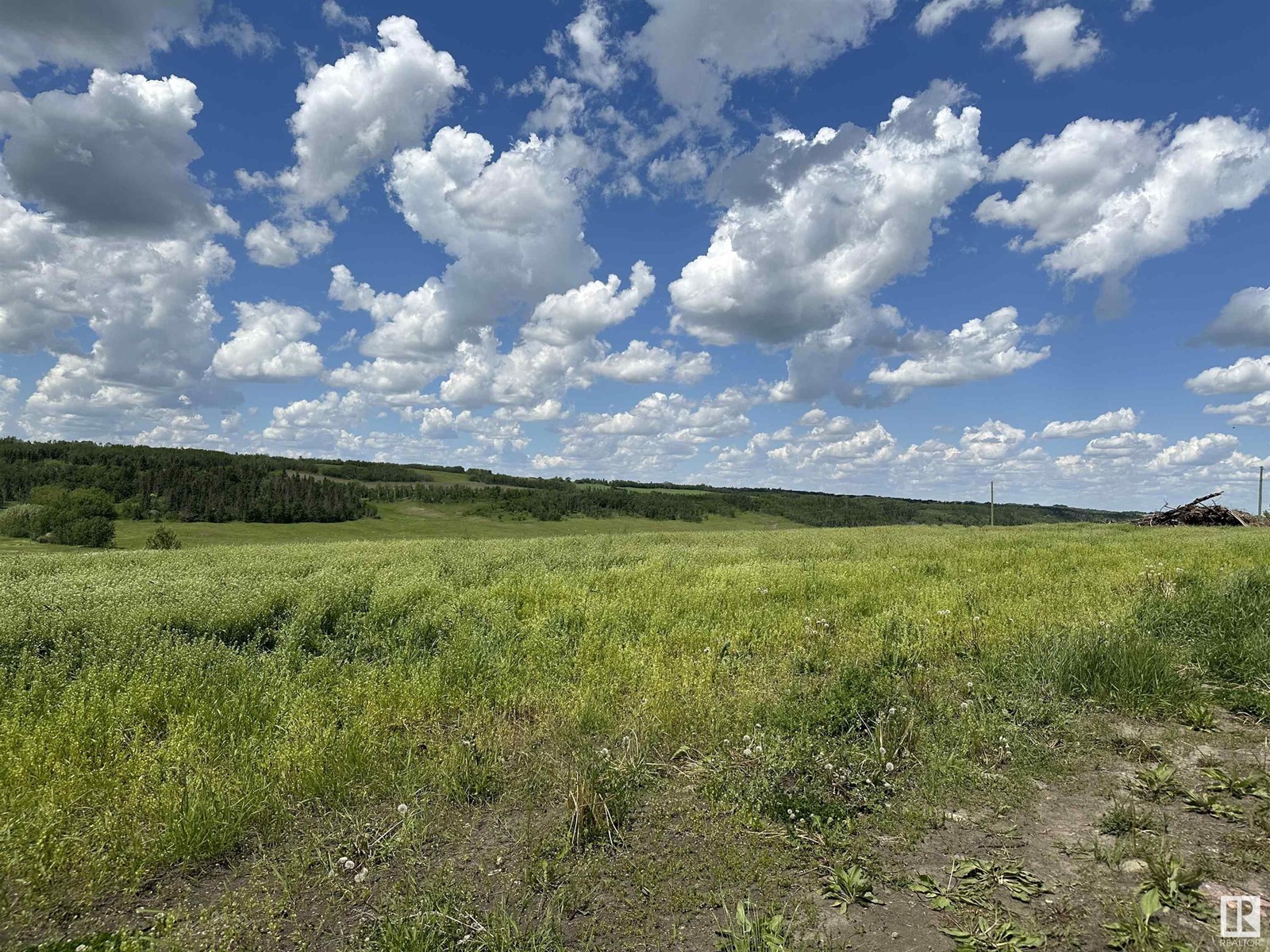B 23509 Twp Rd 484, Rural Leduc County, Alberta  T0C 1Z0 - Photo 7 - E4432933