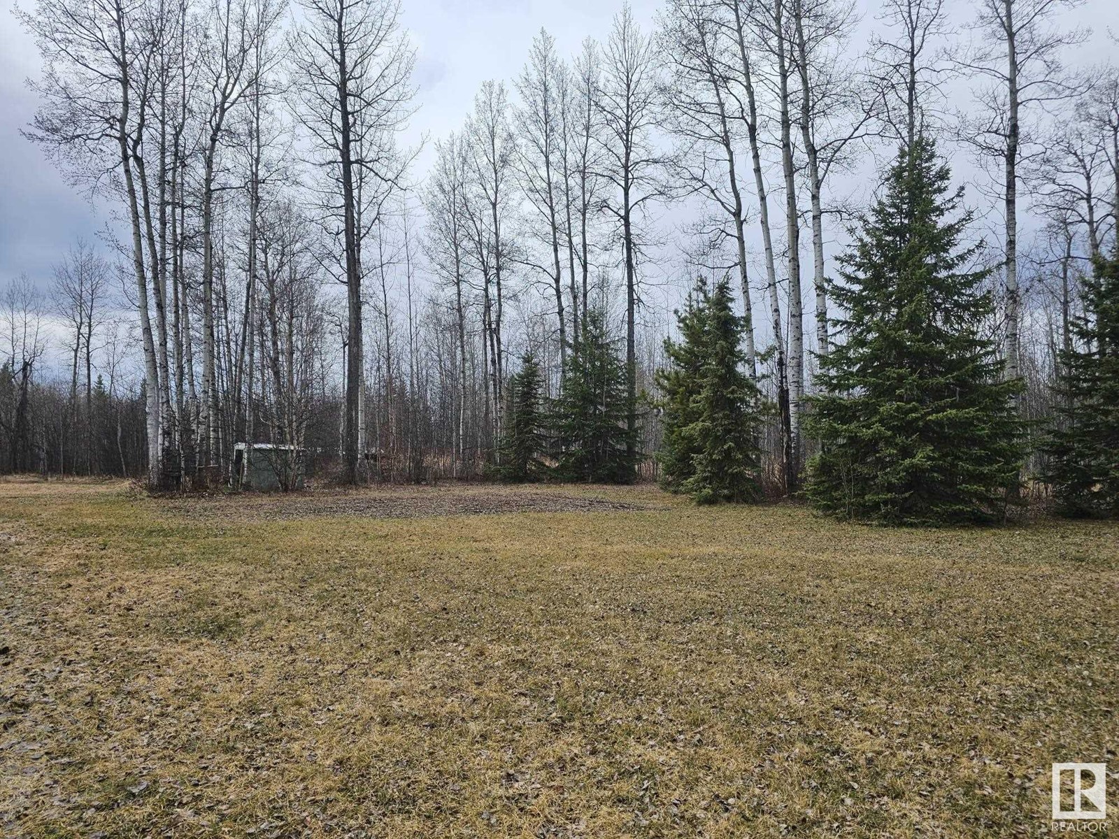 49012 Range Road 83, Rural Brazeau County, Alberta  T7A 2A3 - Photo 46 - E4432943