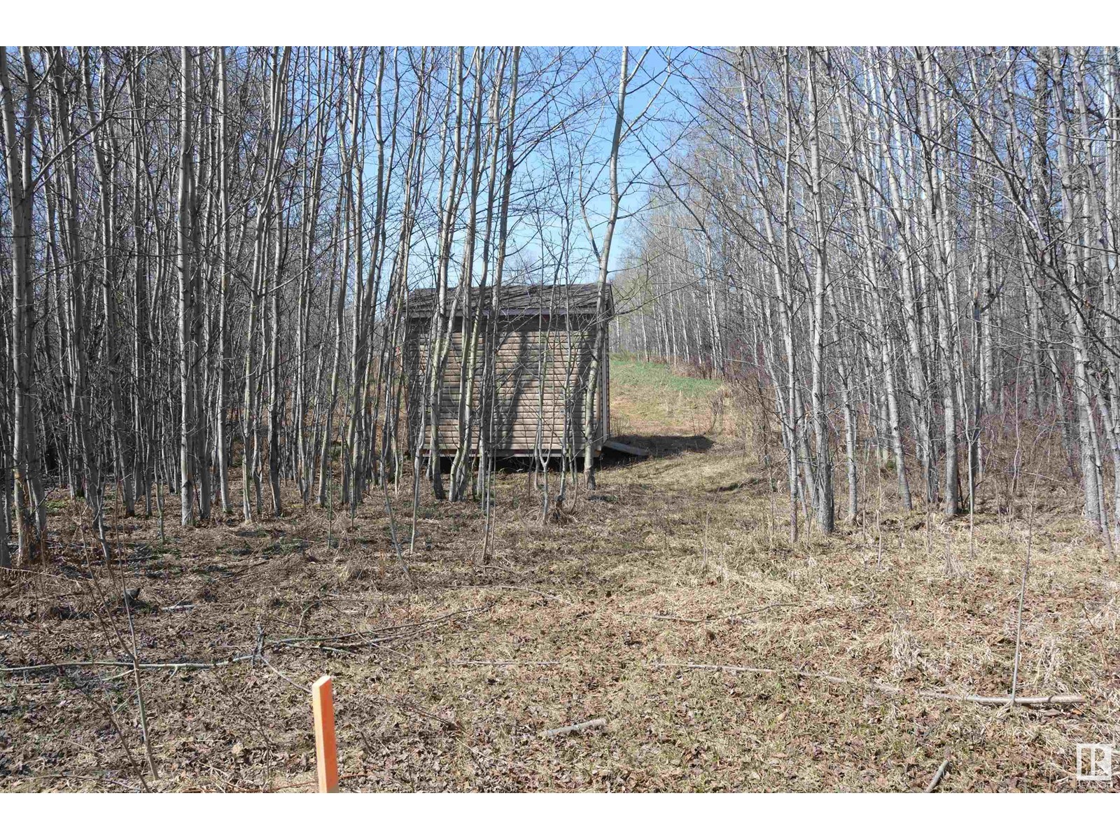 #4 2306 Twp Road 540, Rural Lac Ste. Anne County, Alberta  T0E 1V0 - Photo 13 - E4433178