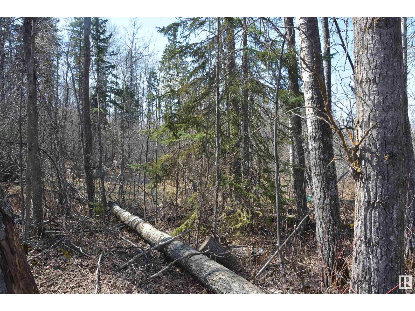 #4 2306 Twp Road 540, Rural Lac Ste. Anne County, Alberta  T0E 1V0 - Photo 15 - E4433178