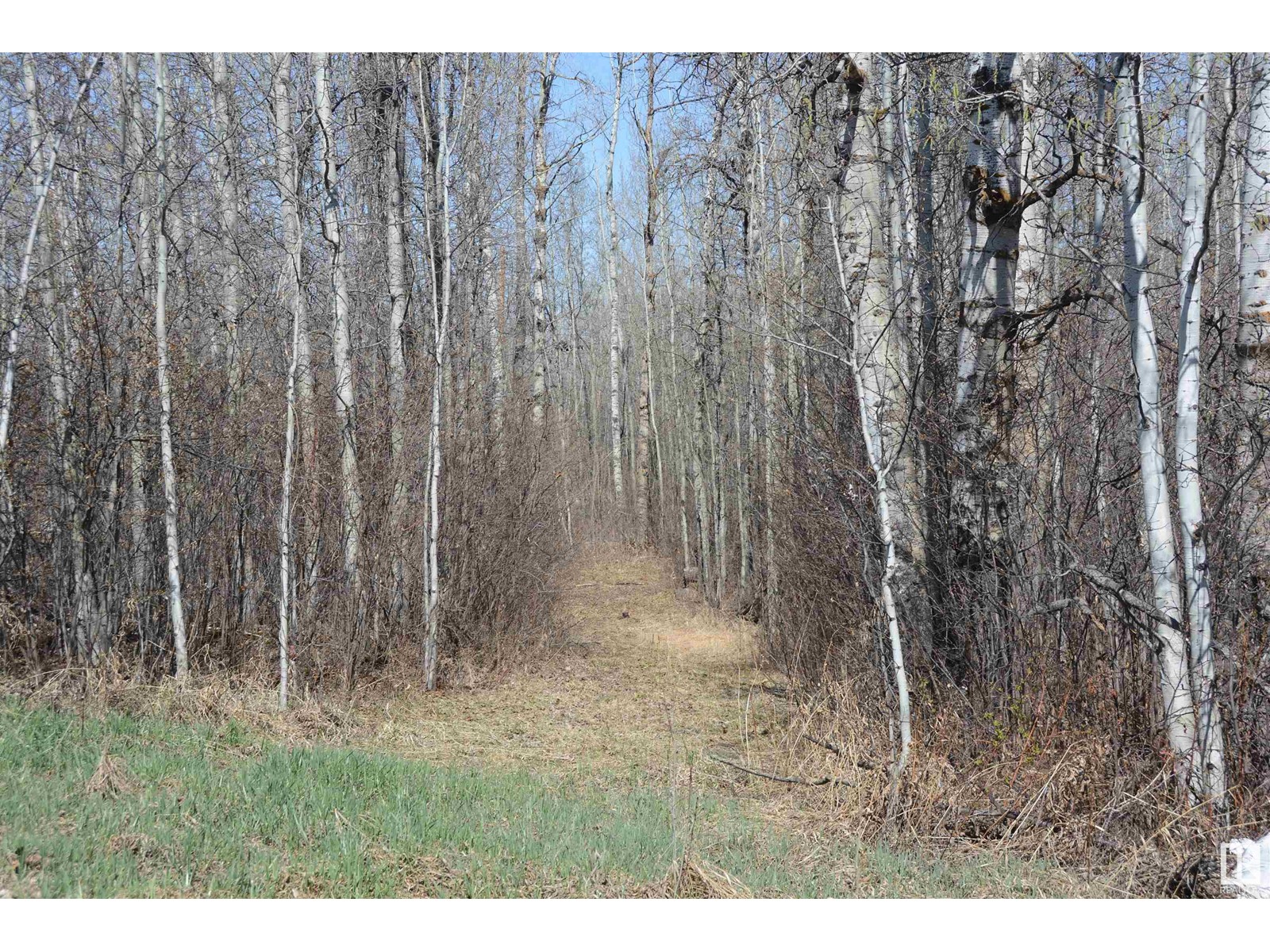 #4 2306 Twp Road 540, Rural Lac Ste. Anne County, Alberta  T0E 1V0 - Photo 23 - E4433178