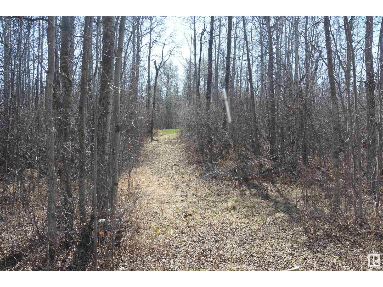 #4 2306 Twp Road 540, Rural Lac Ste. Anne County, Alberta  T0E 1V0 - Photo 26 - E4433178