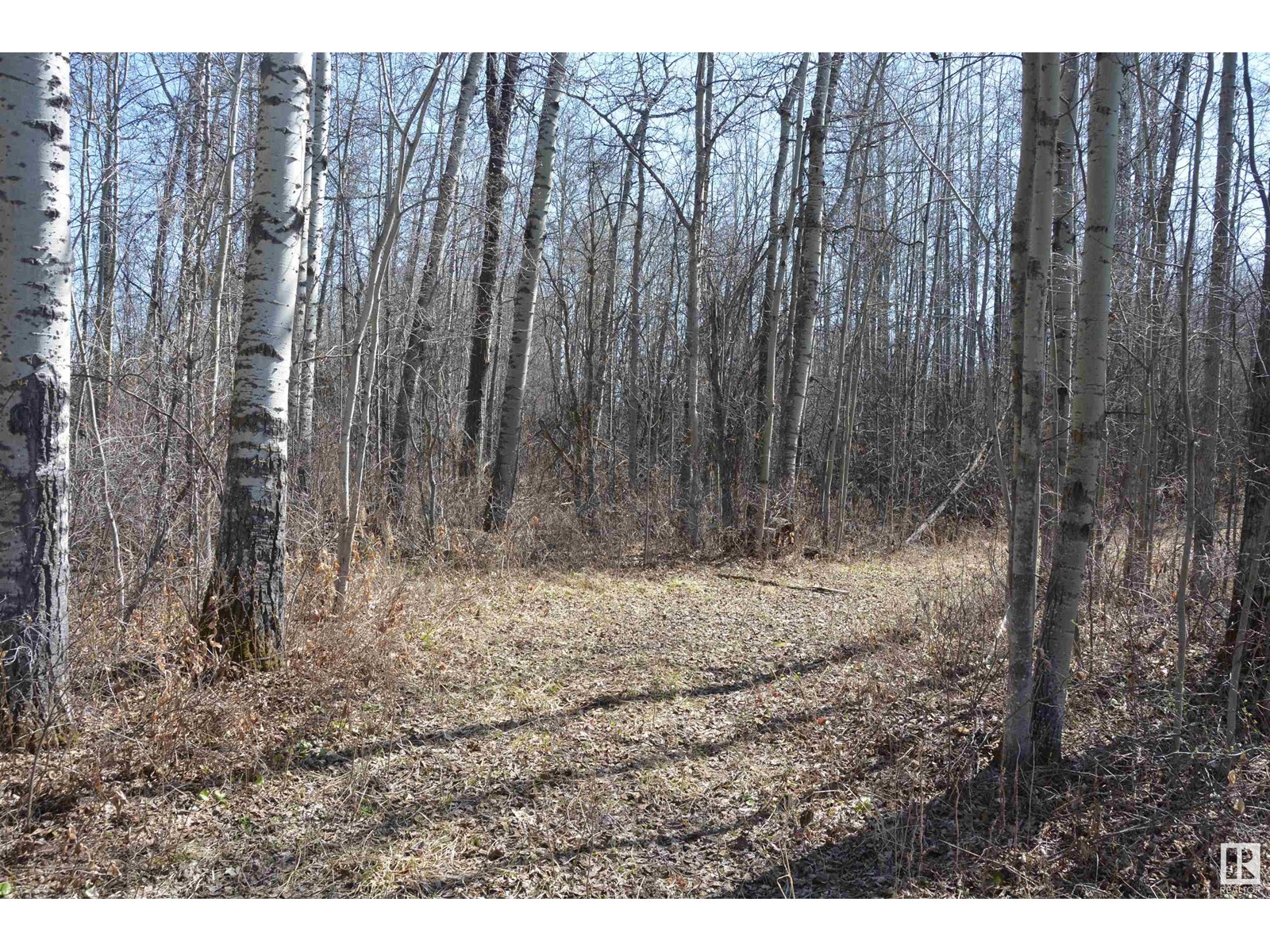 #4 2306 Twp Road 540, Rural Lac Ste. Anne County, Alberta  T0E 1V0 - Photo 3 - E4433178