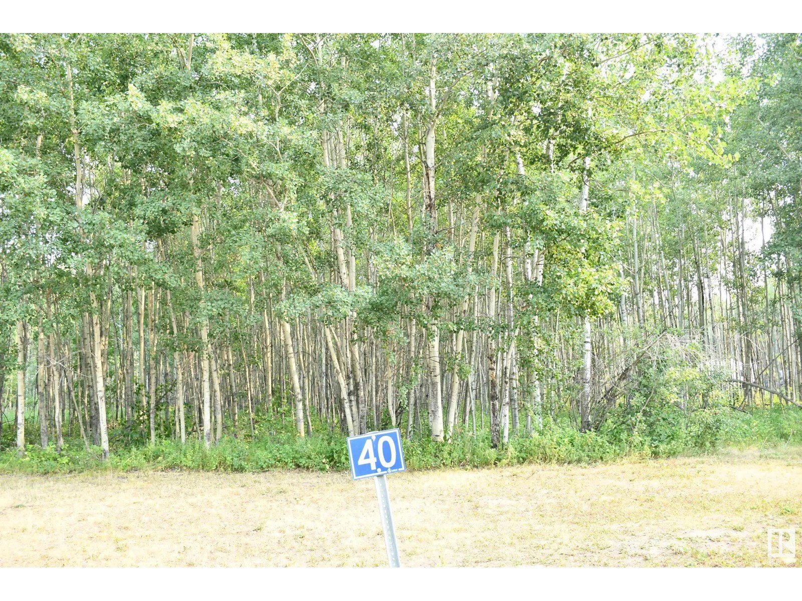 40 47411 Rge Rd 14, Rural Leduc County, Alberta  T0C 2P0 - Photo 6 - E4433278