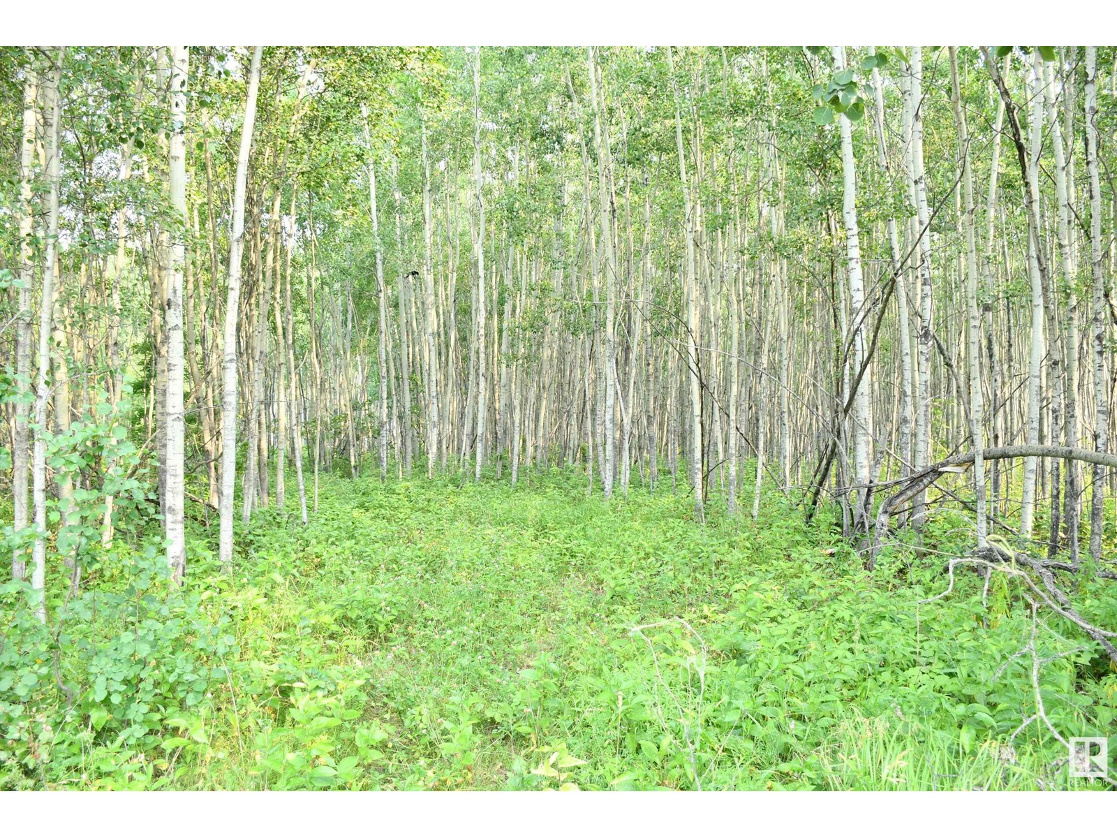 40 47411 Rge Rd 14, Rural Leduc County, Alberta  T0C 2P0 - Photo 7 - E4433278