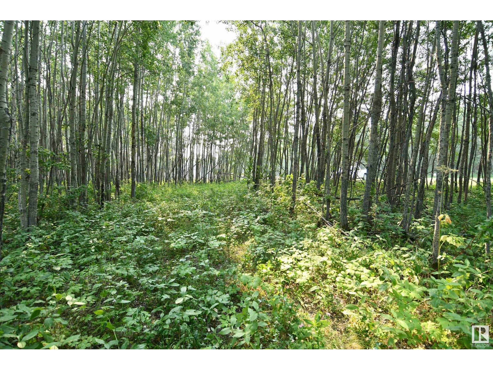 40 47411 Rge Rd 14, Rural Leduc County, Alberta  T0C 2P0 - Photo 8 - E4433278