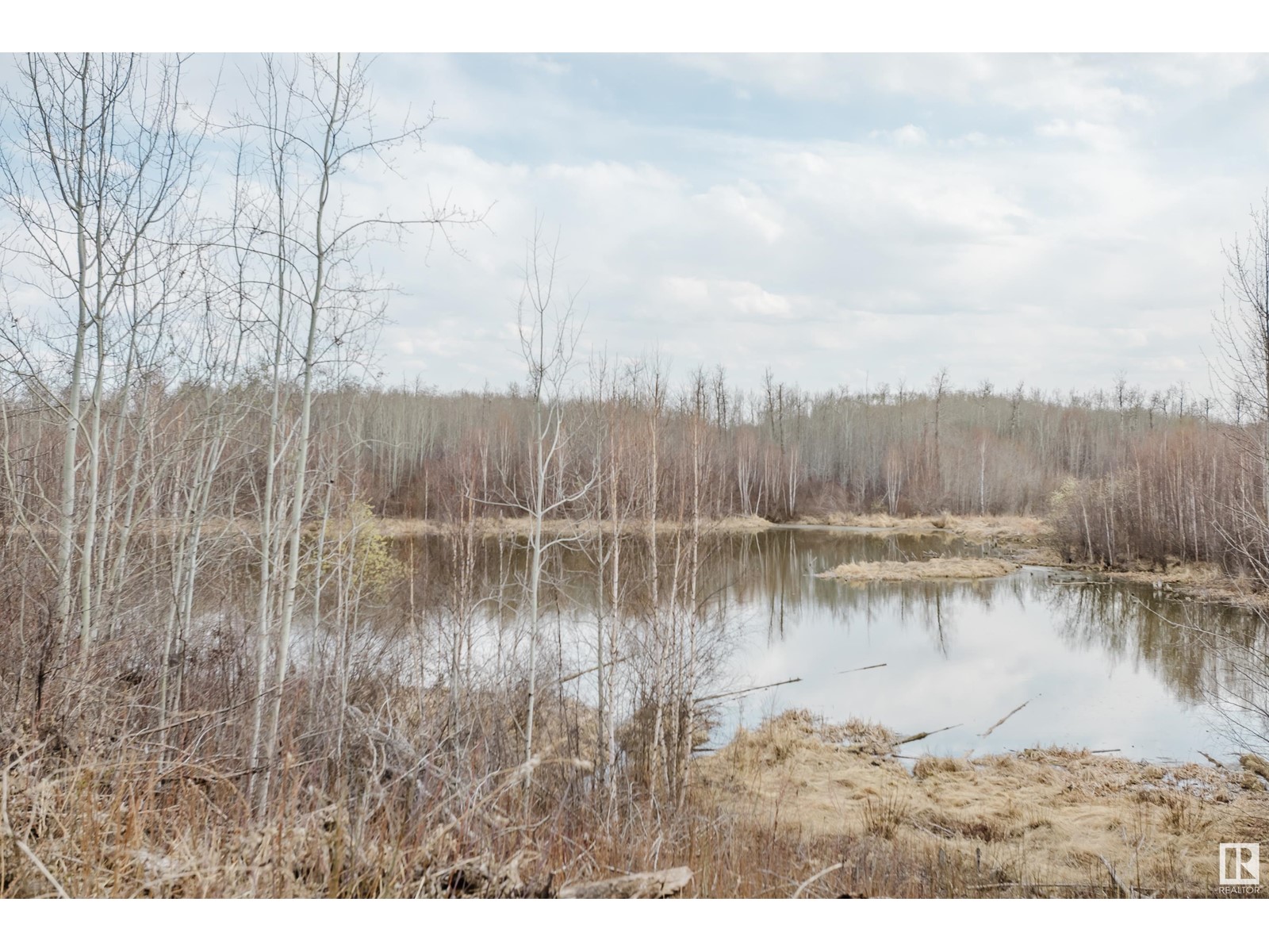 52210 192 Rd Nw, Rural Beaver County, Alberta  T0C 4J5 - Photo 48 - E4433363