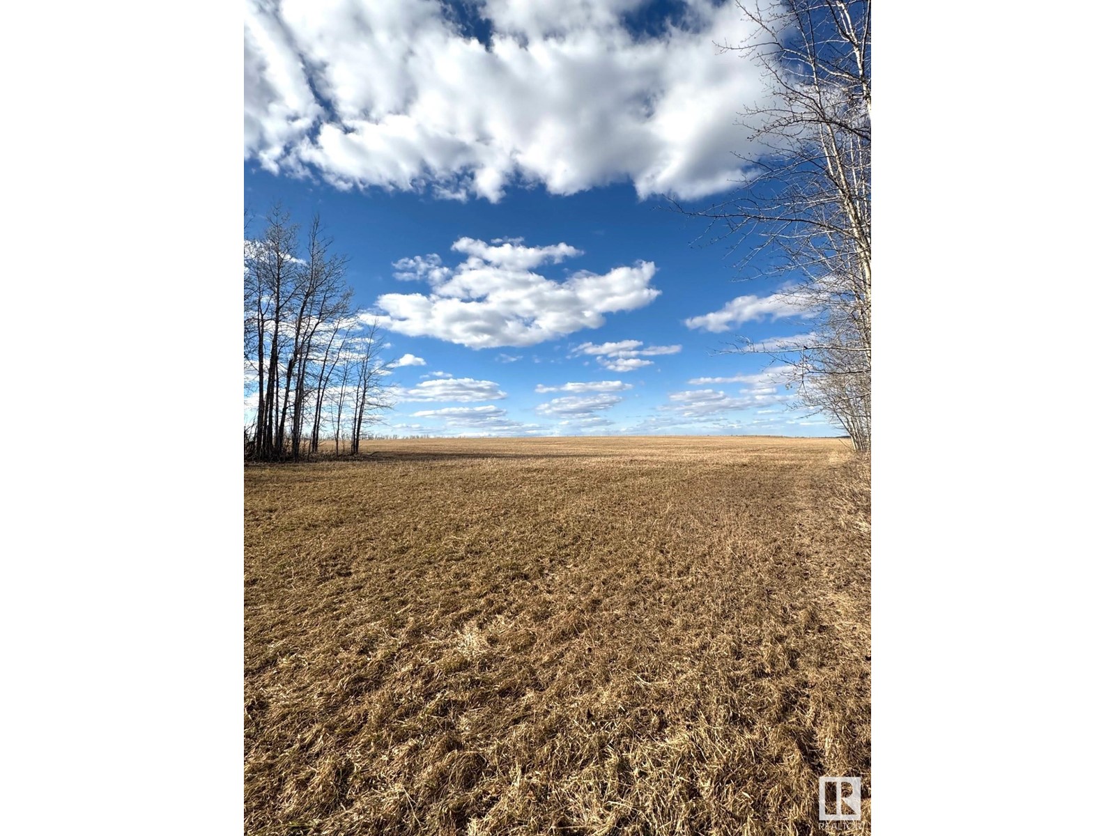 9326 Twp Rd 550, Rural Yellowhead, Alberta  T0E 2M0 - Photo 33 - E4433513